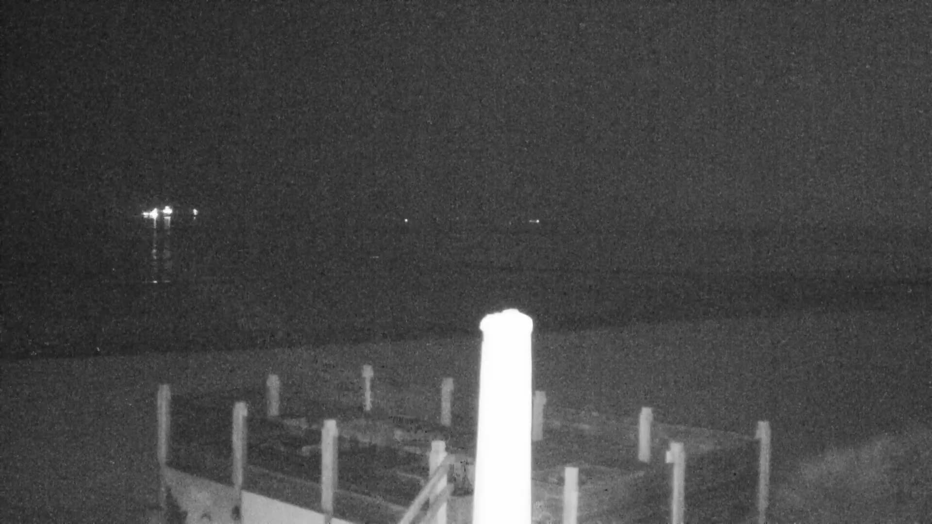 Knokke-Heist, Lekkerbek , Plage Chiens Kodak Live Cam - Bruges, West Flanders (Flandre-Occidentale), Flemish (Flamande), Belgium