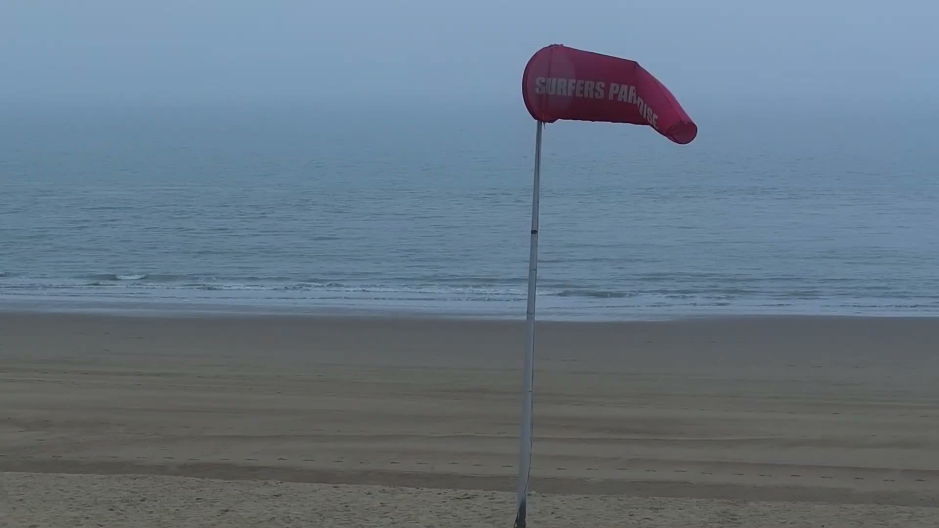 Knokke-Heist, Lekkerbek , Plage Chiens Kodak Live Cam - Bruges, West Flanders (Flandre-Occidentale), Flemish (Flamande), Belgium