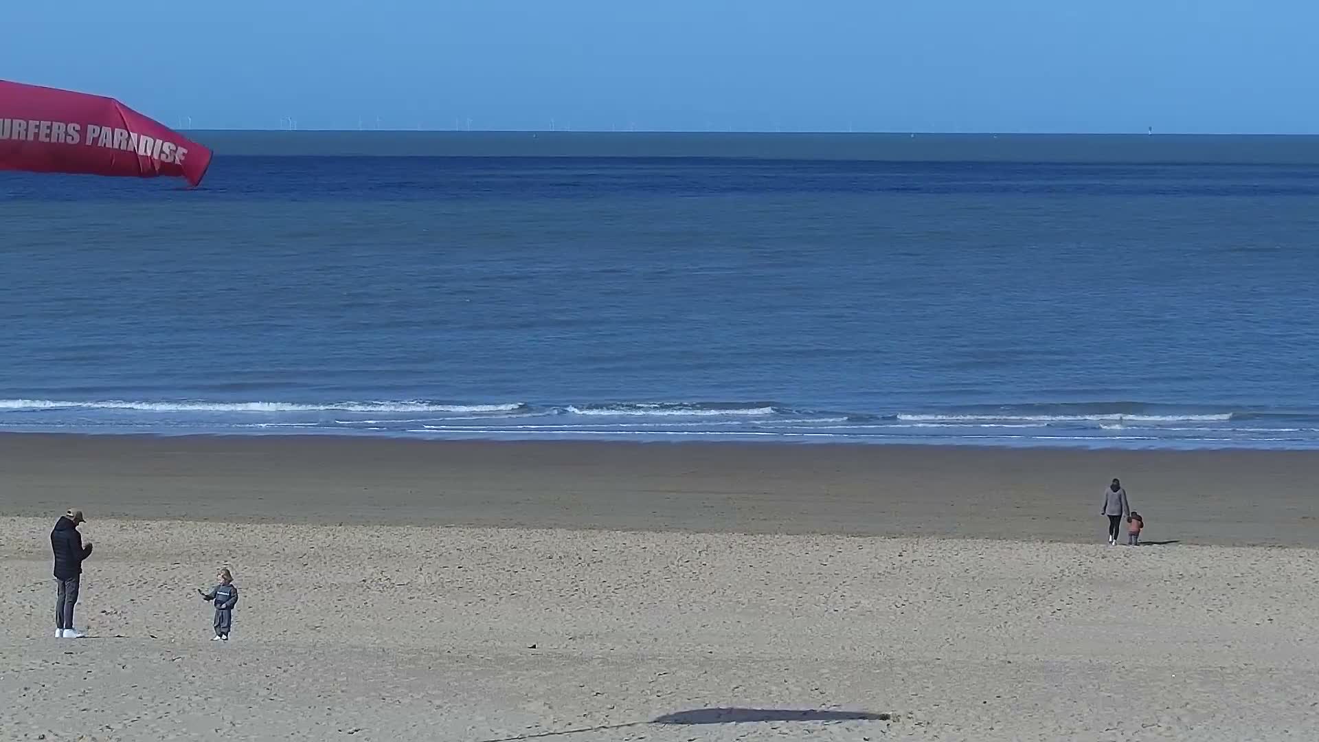 Knokke-Heist, Lekkerbek , Plage Chiens Kodak Live Cam - Bruges, West Flanders (Flandre-Occidentale), Flemish (Flamande), Belgium