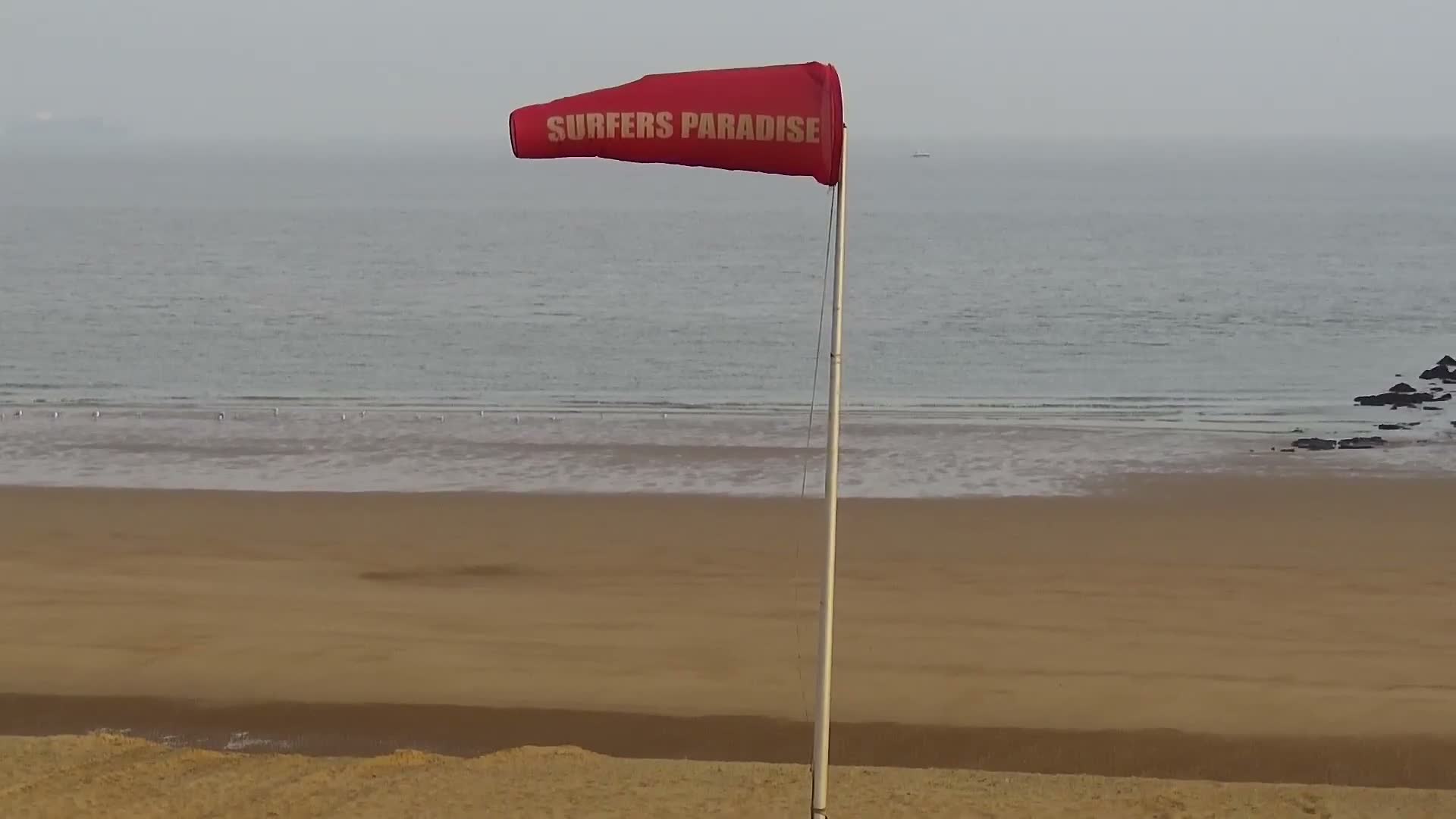 Knokke-Heist, Lekkerbek , Plage Chiens Kodak Live Cam - Bruges, West Flanders (Flandre-Occidentale), Flemish (Flamande), Belgium