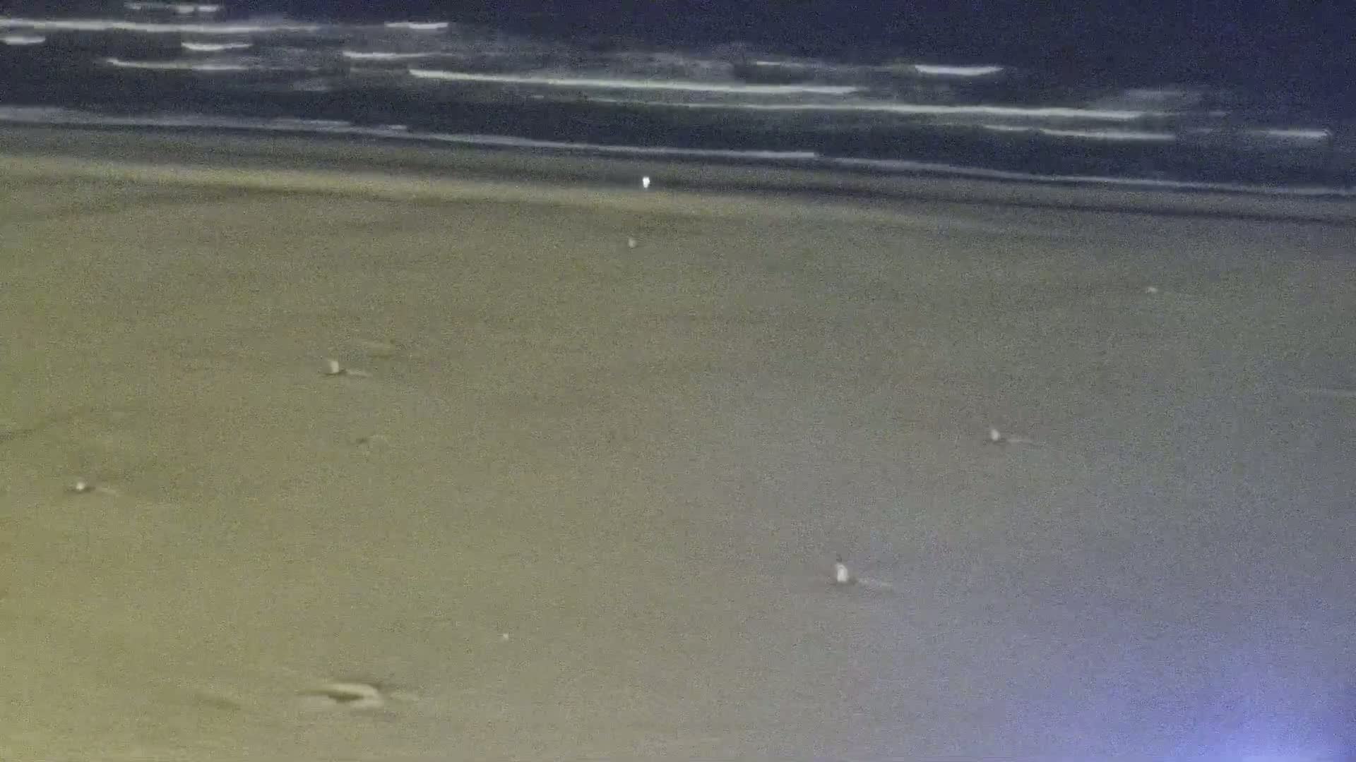 Ostend City & Strand Oostande Beach Live Cam - Ostend(Ostende), West Flanders (Flandre-Occidentale), Flemish (Flamande), Belgium