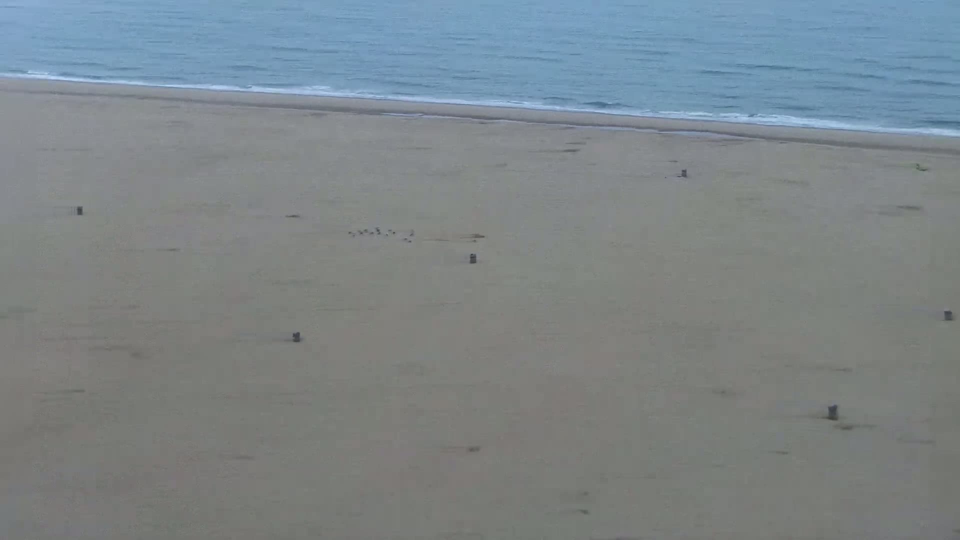 Ostend City & Strand Oostande Beach Live Cam - Ostend(Ostende), West Flanders (Flandre-Occidentale), Flemish (Flamande), Belgium