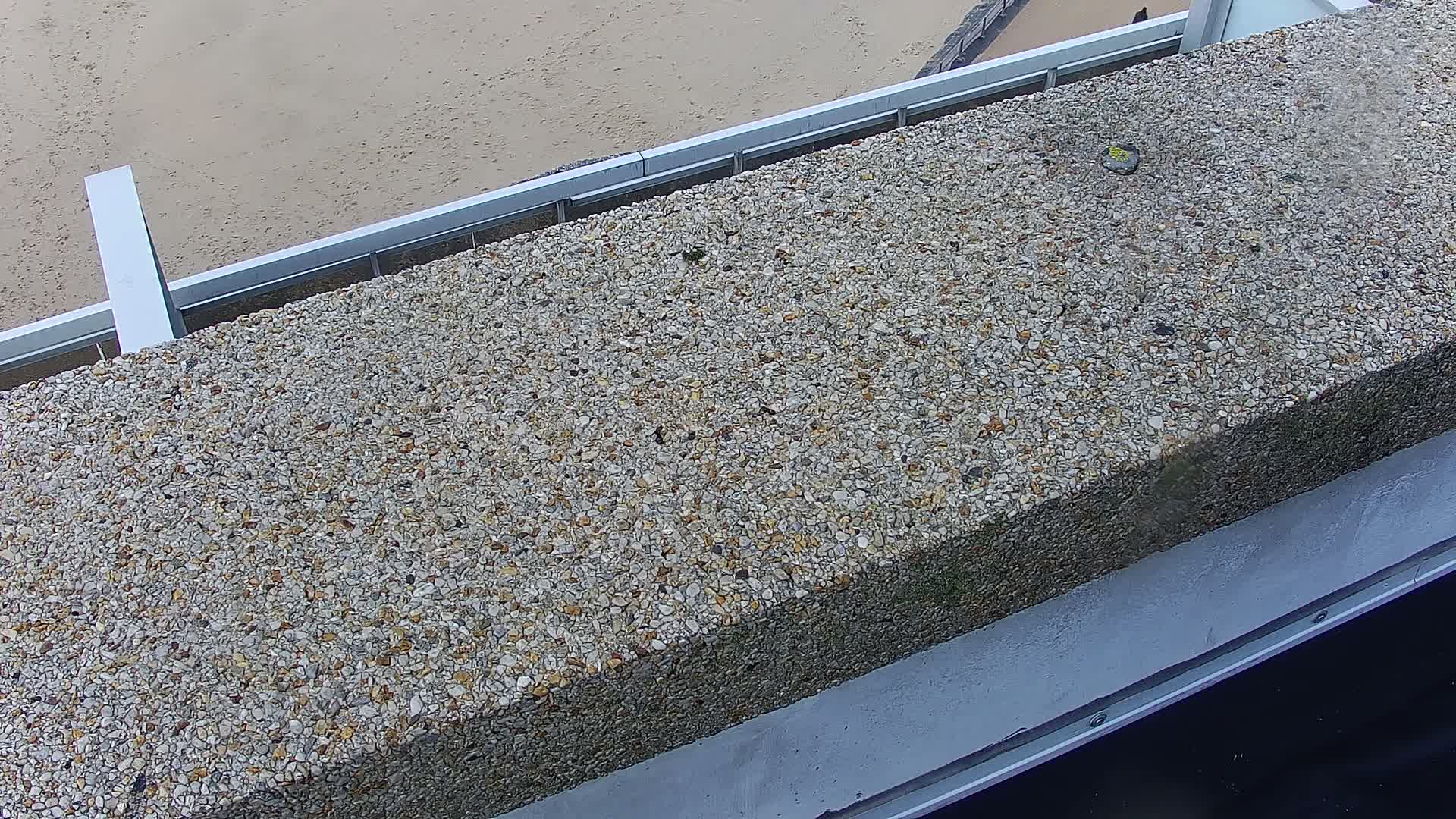 A wide, sandy beach covered in patches of snow and frost is visible on an overcast day, with a tall building, an elevated promenade, and a few people walking near the choppy grey ocean.