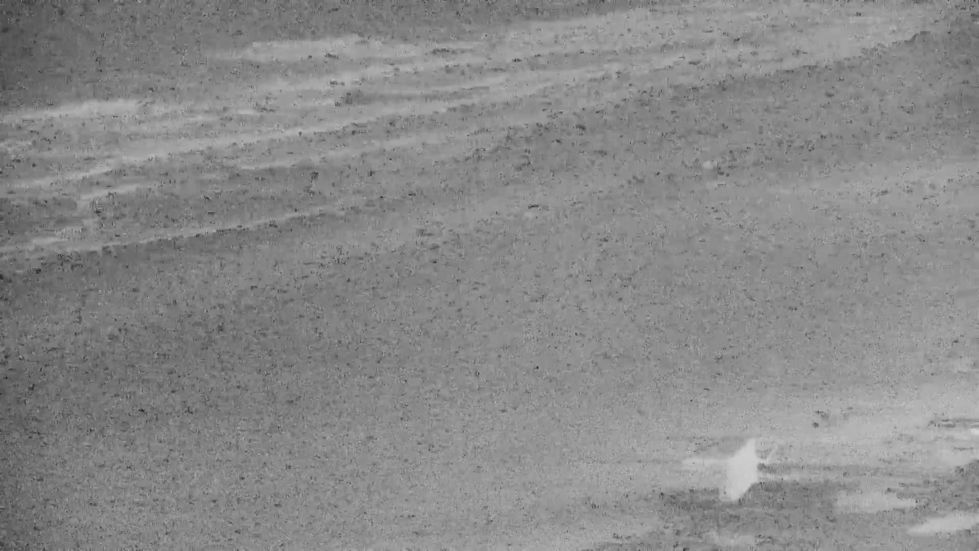 De Panne (La Panne), De Panne Strand Beach & Monument Leopold I /Geallieerden (Monument of the Allies) Live Cam - Veurne (Furnes), West Flanders (Flandre-Occidentale), Flemish (Flamande), Belgium