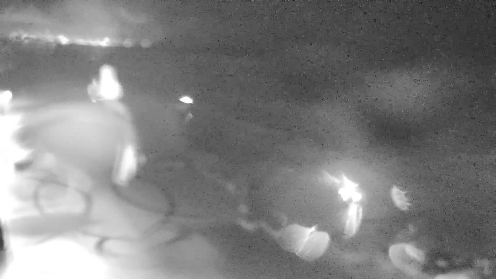 De Panne (La Panne), De Panne Strand Beach & Monument Leopold I /Geallieerden (Monument of the Allies) Live Cam - Veurne (Furnes), West Flanders (Flandre-Occidentale), Flemish (Flamande), Belgium