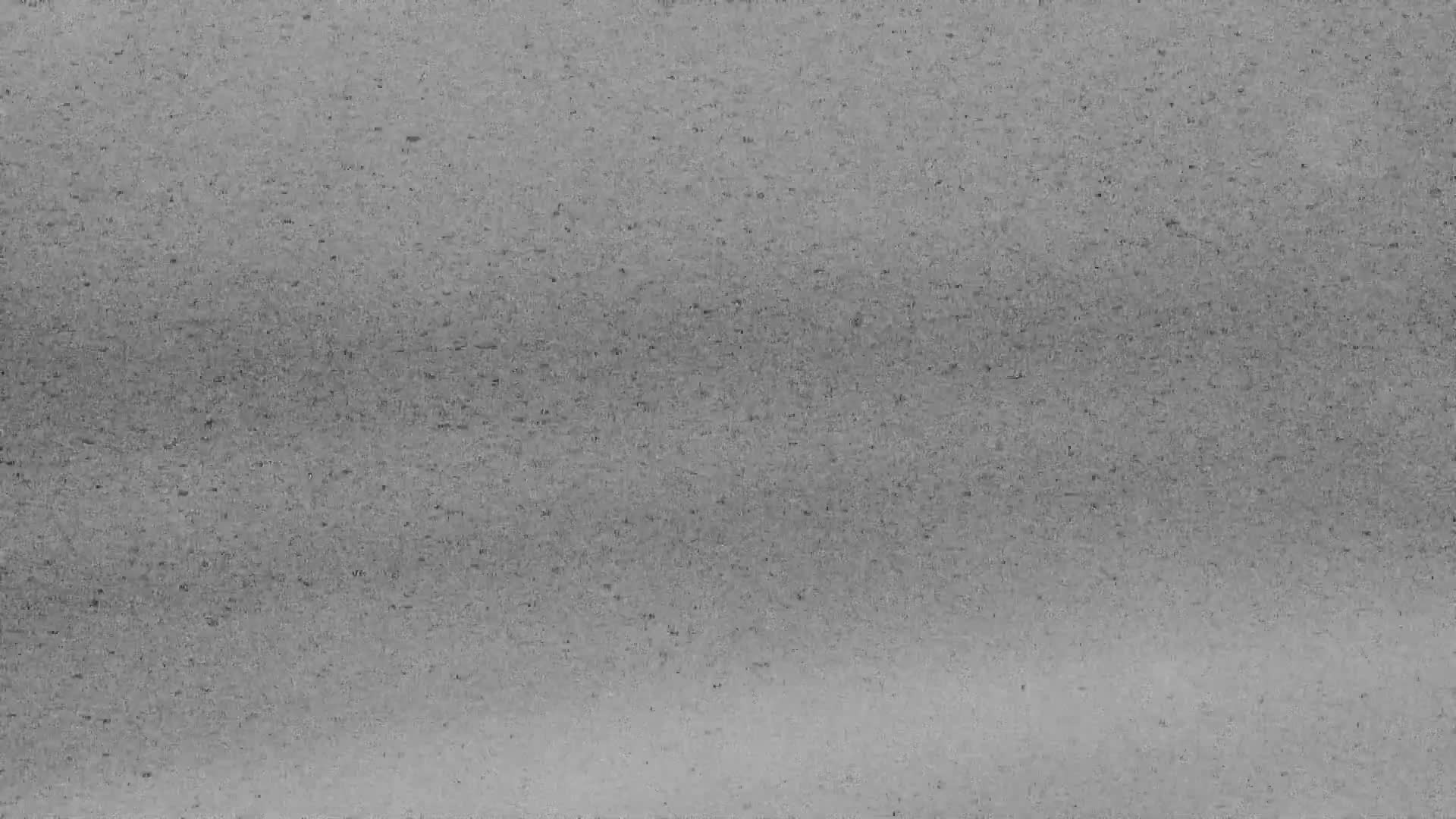 De Panne (La Panne), De Panne Strand Beach & Monument Leopold I /Geallieerden (Monument of the Allies) Live Cam - Veurne (Furnes), West Flanders (Flandre-Occidentale), Flemish (Flamande), Belgium