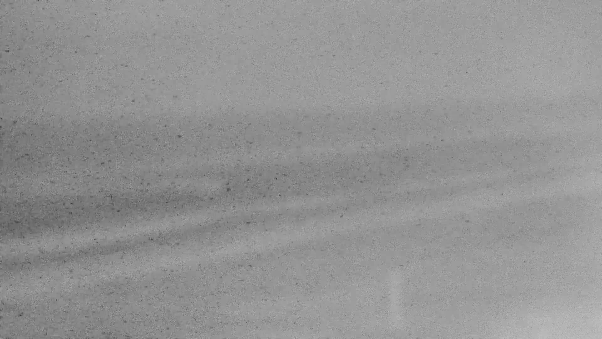 De Panne (La Panne), De Panne Strand Beach & Monument Leopold I /Geallieerden (Monument of the Allies) Live Cam - Veurne (Furnes), West Flanders (Flandre-Occidentale), Flemish (Flamande), Belgium