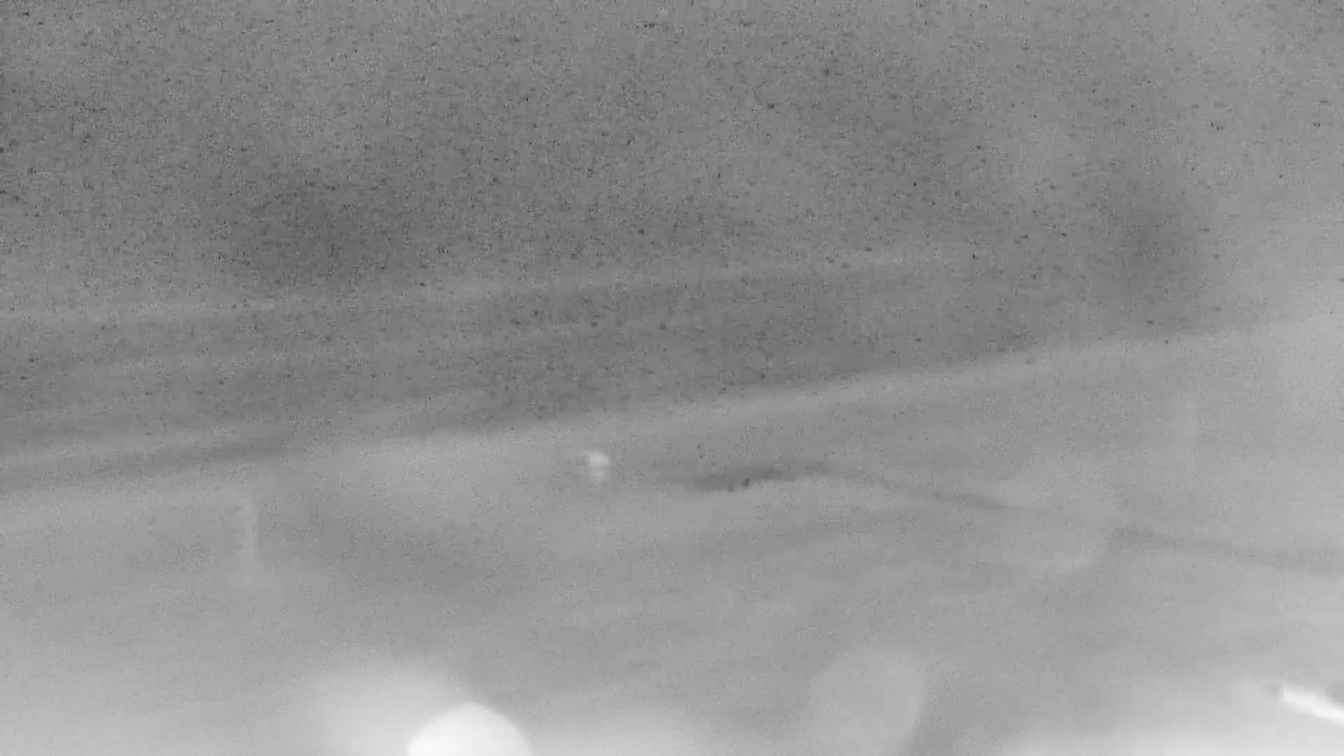 De Panne (La Panne), De Panne Strand Beach & Monument Leopold I /Geallieerden (Monument of the Allies) Live Cam - Veurne (Furnes), West Flanders (Flandre-Occidentale), Flemish (Flamande), Belgium