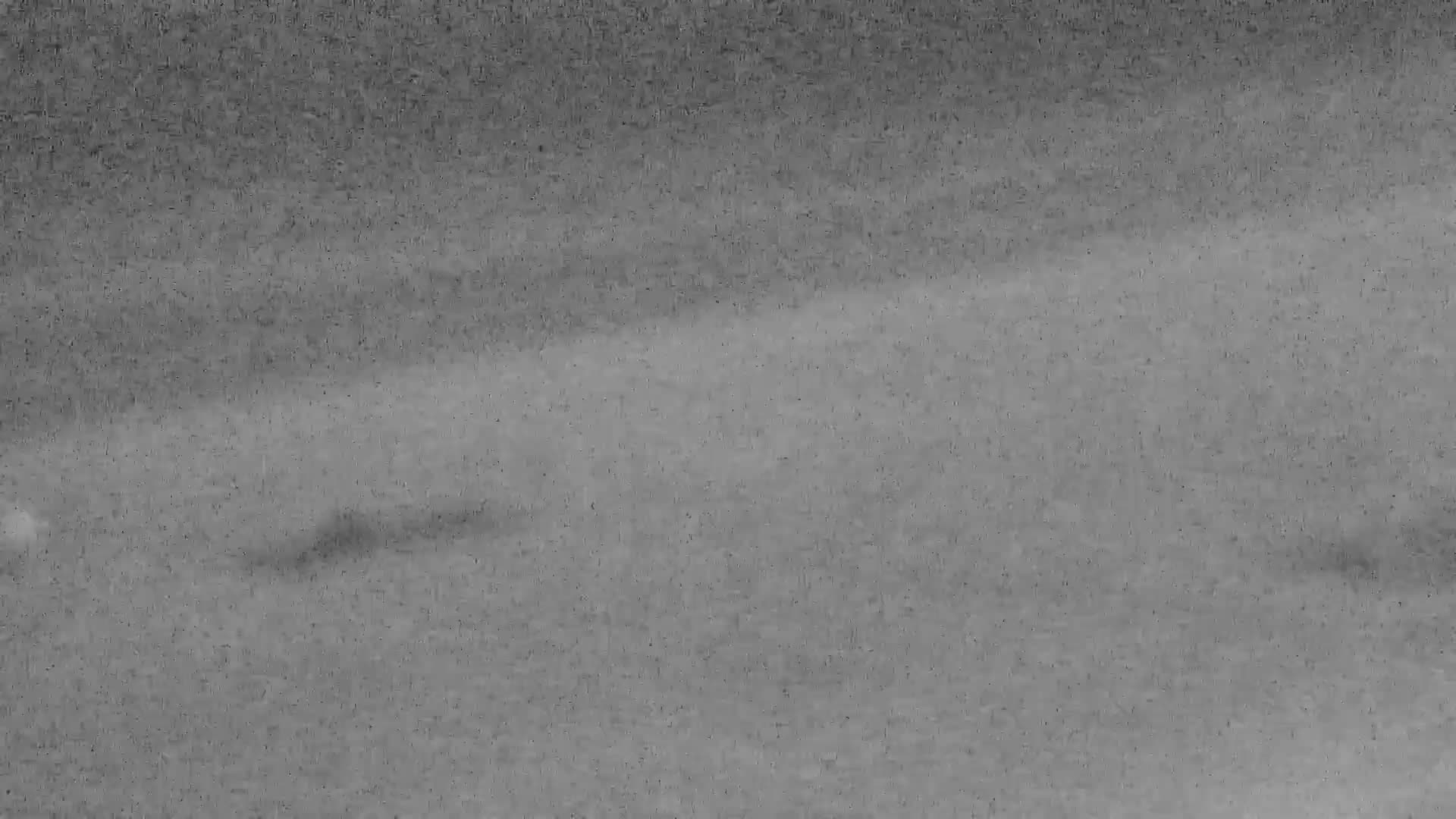De Panne (La Panne), De Panne Strand Beach & Monument Leopold I /Geallieerden (Monument of the Allies) Live Cam - Veurne (Furnes), West Flanders (Flandre-Occidentale), Flemish (Flamande), Belgium