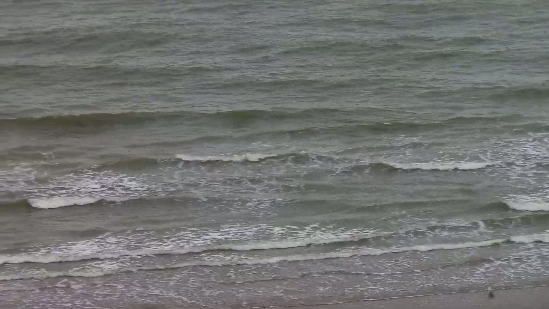 Wenduine, Strand van Wenduine Beach Live Cam - Ostend(Ostende), West Flanders (Flandre-Occidentale), Flemish (Flamande), Belgium