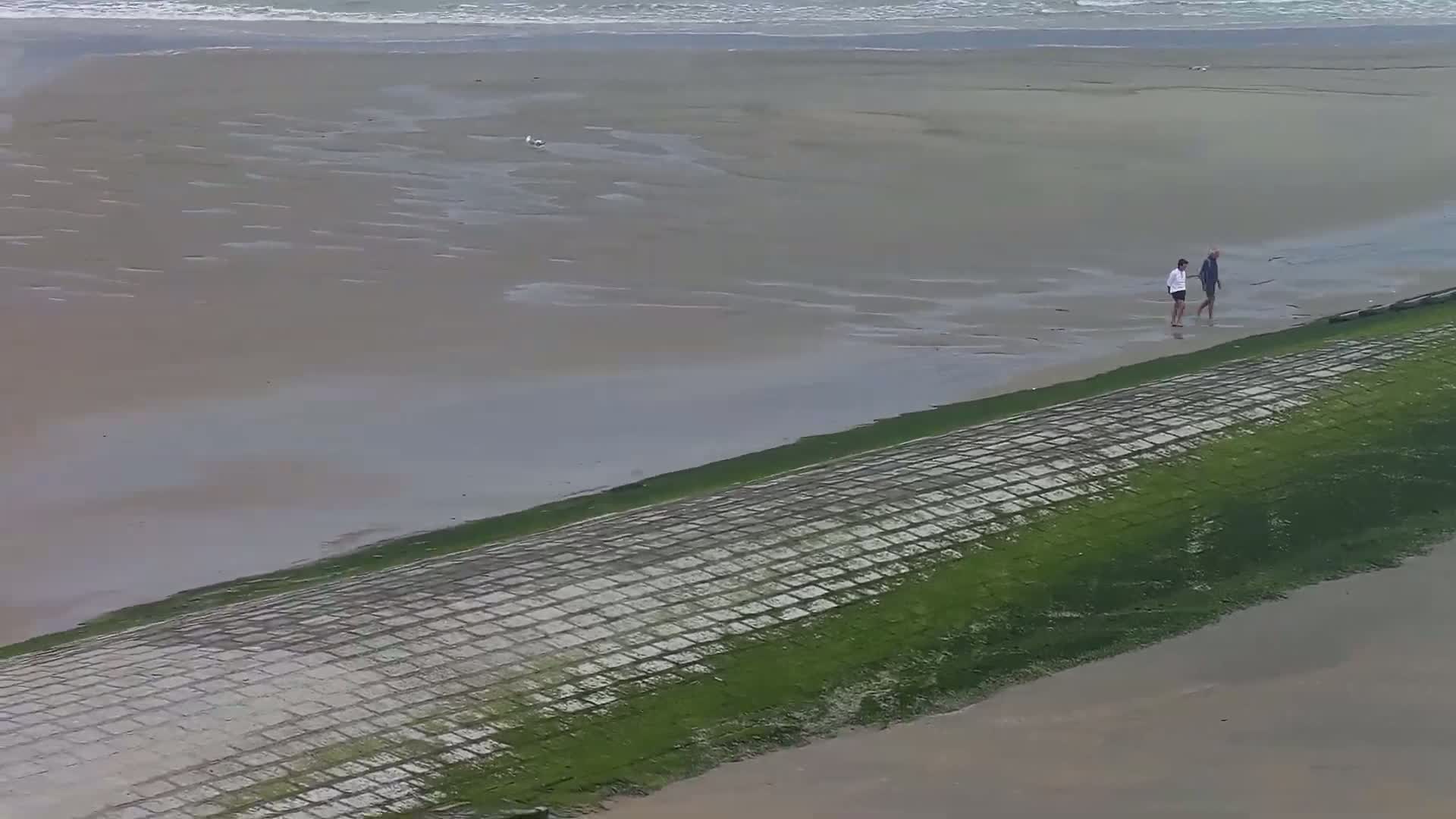 Wenduine, Strand van Wenduine Beach Live Cam - Ostend(Ostende), West Flanders (Flandre-Occidentale), Flemish (Flamande), Belgium