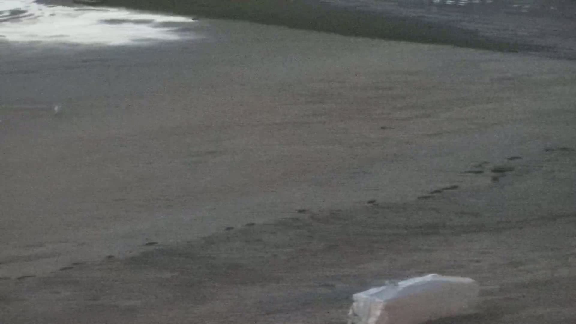 Wenduine, Strand van Wenduine Beach Live Cam - Ostend(Ostende), West Flanders (Flandre-Occidentale), Flemish (Flamande), Belgium