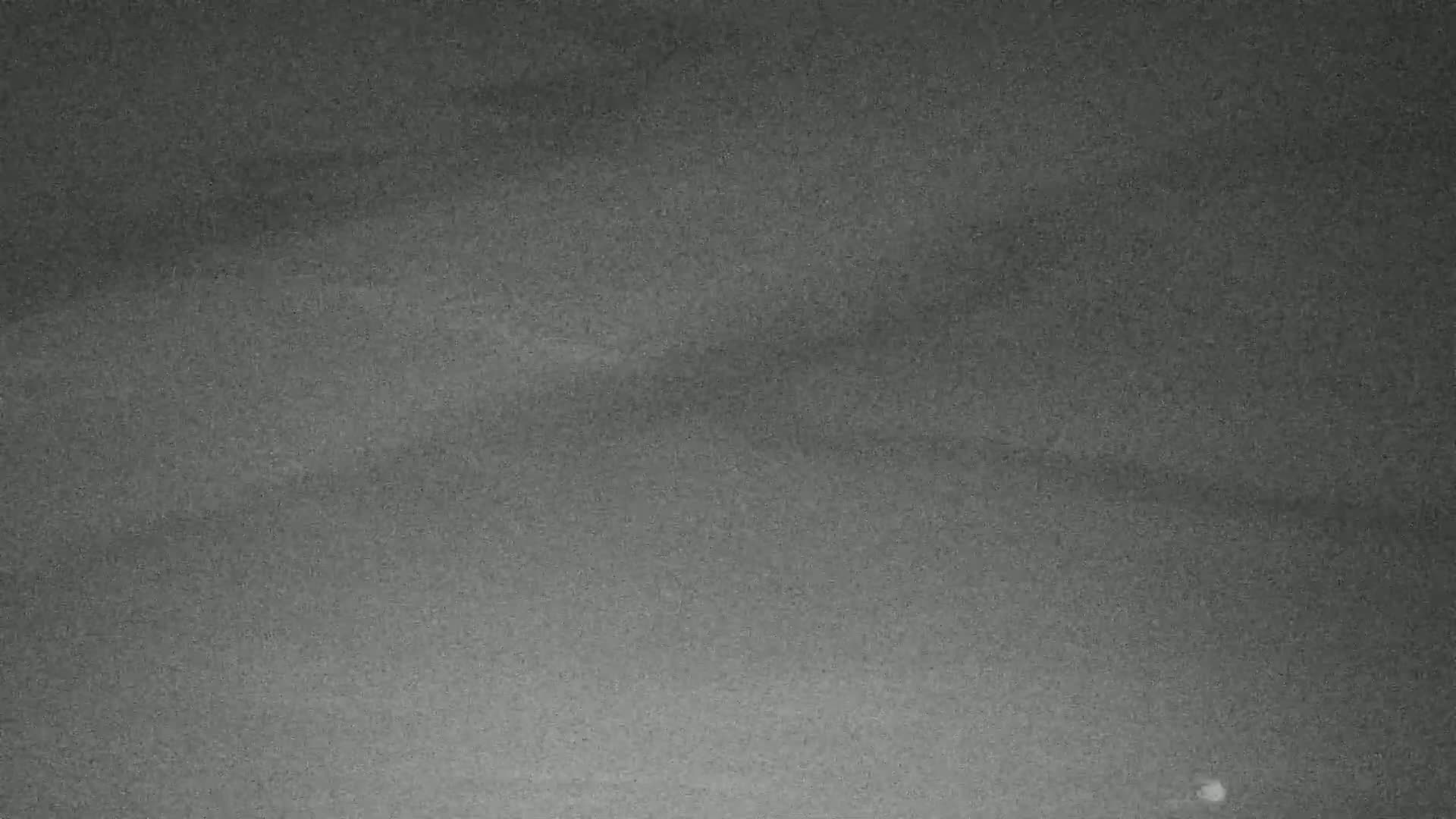 Wenduine, Strand van Wenduine Beach Live Cam - Ostend(Ostende), West Flanders (Flandre-Occidentale), Flemish (Flamande), Belgium