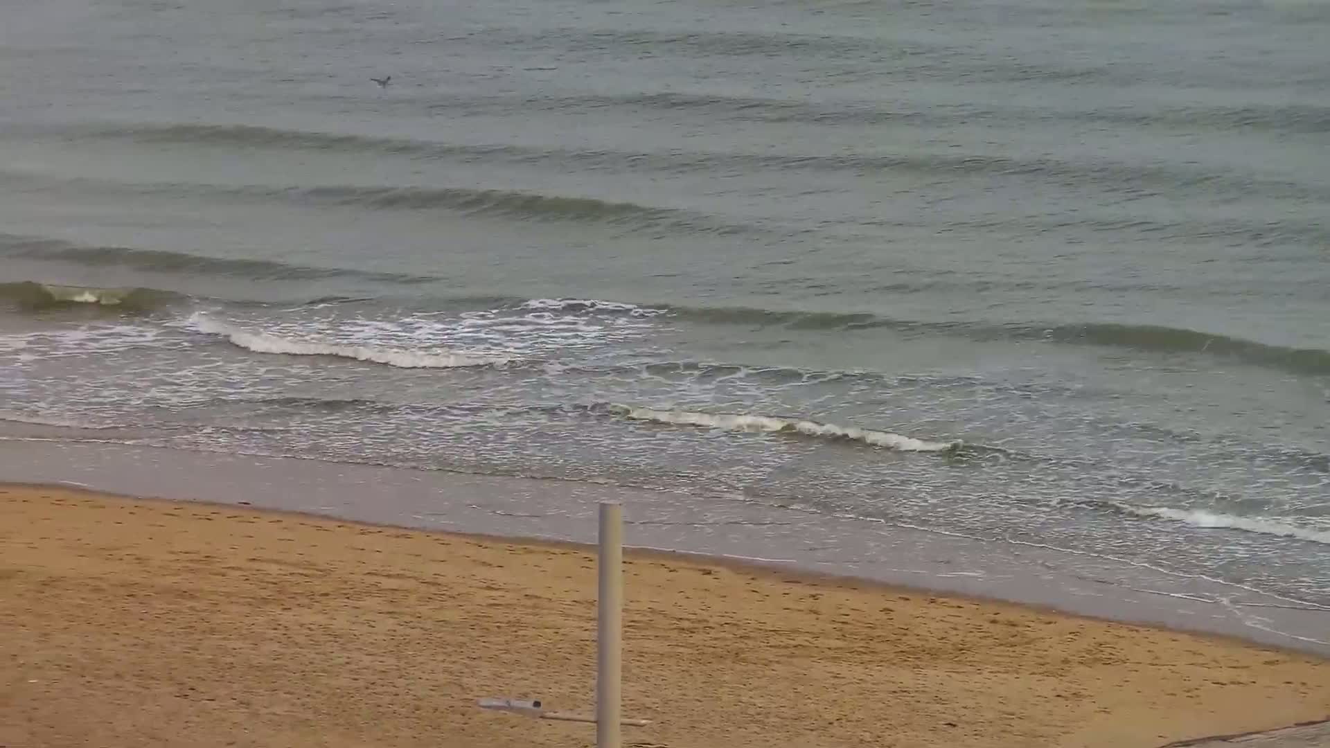 Wenduine, Strand van Wenduine Beach Live Cam - Ostend(Ostende), West Flanders (Flandre-Occidentale), Flemish (Flamande), Belgium