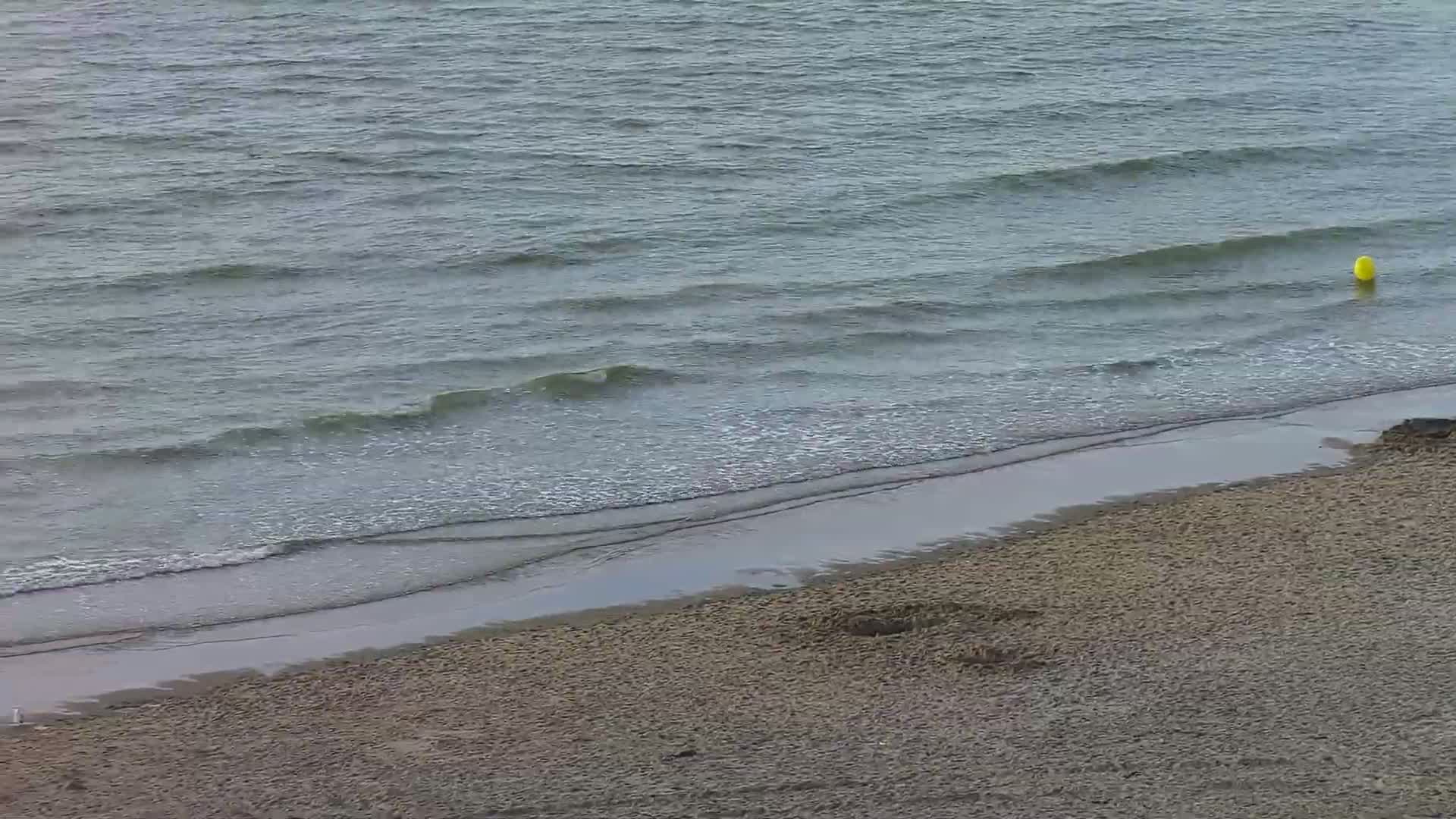 Wenduine, Strand van Wenduine Beach Live Cam - Ostend(Ostende), West Flanders (Flandre-Occidentale), Flemish (Flamande), Belgium