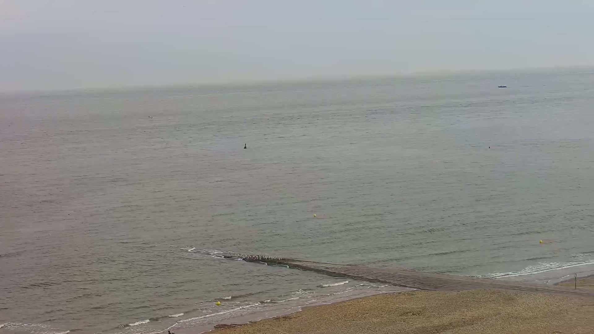 Wenduine, Strand van Wenduine Beach Live Cam - Ostend(Ostende), West Flanders (Flandre-Occidentale), Flemish (Flamande), Belgium