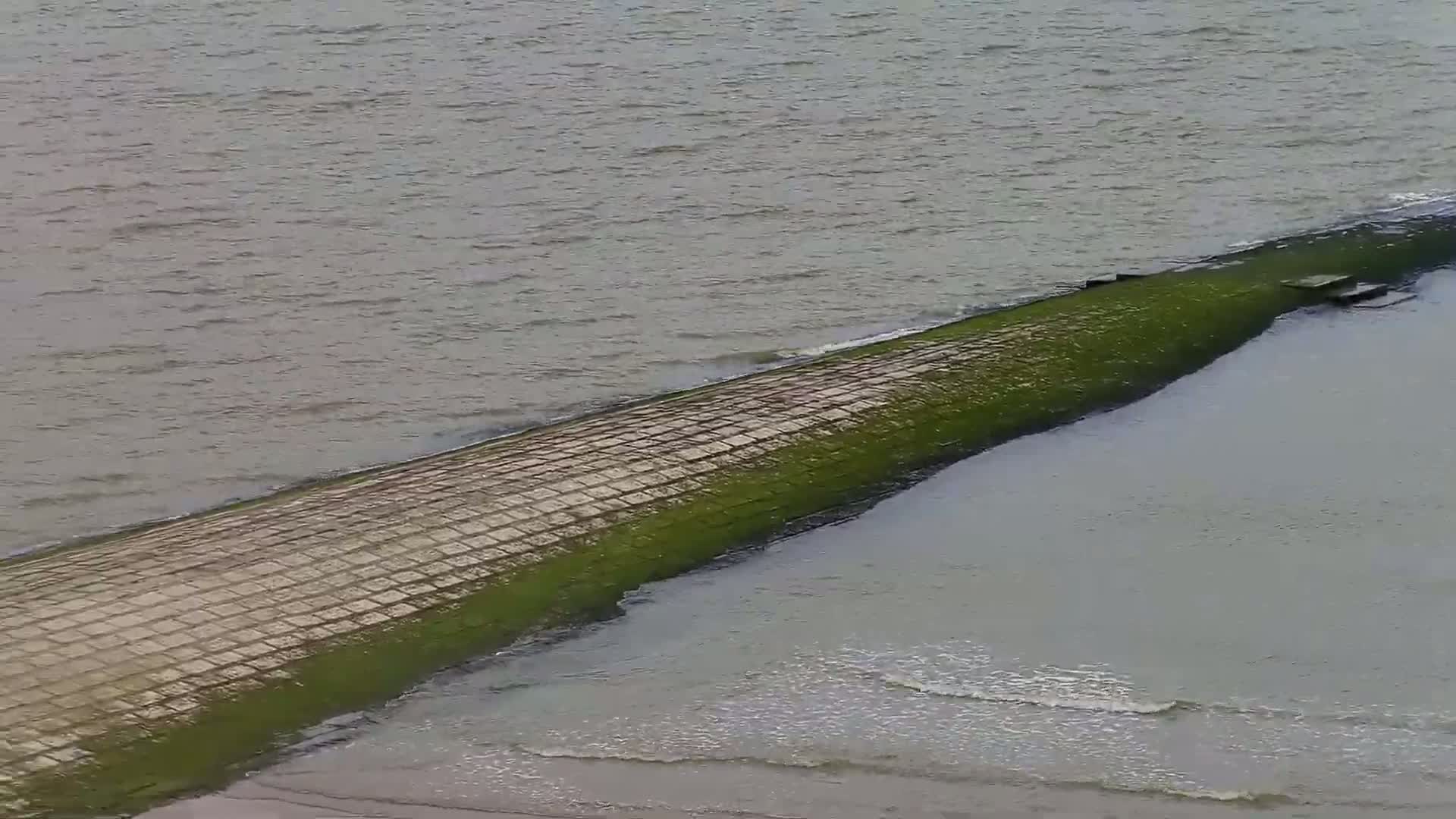 Wenduine, Strand van Wenduine Beach Live Cam - Ostend(Ostende), West Flanders (Flandre-Occidentale), Flemish (Flamande), Belgium