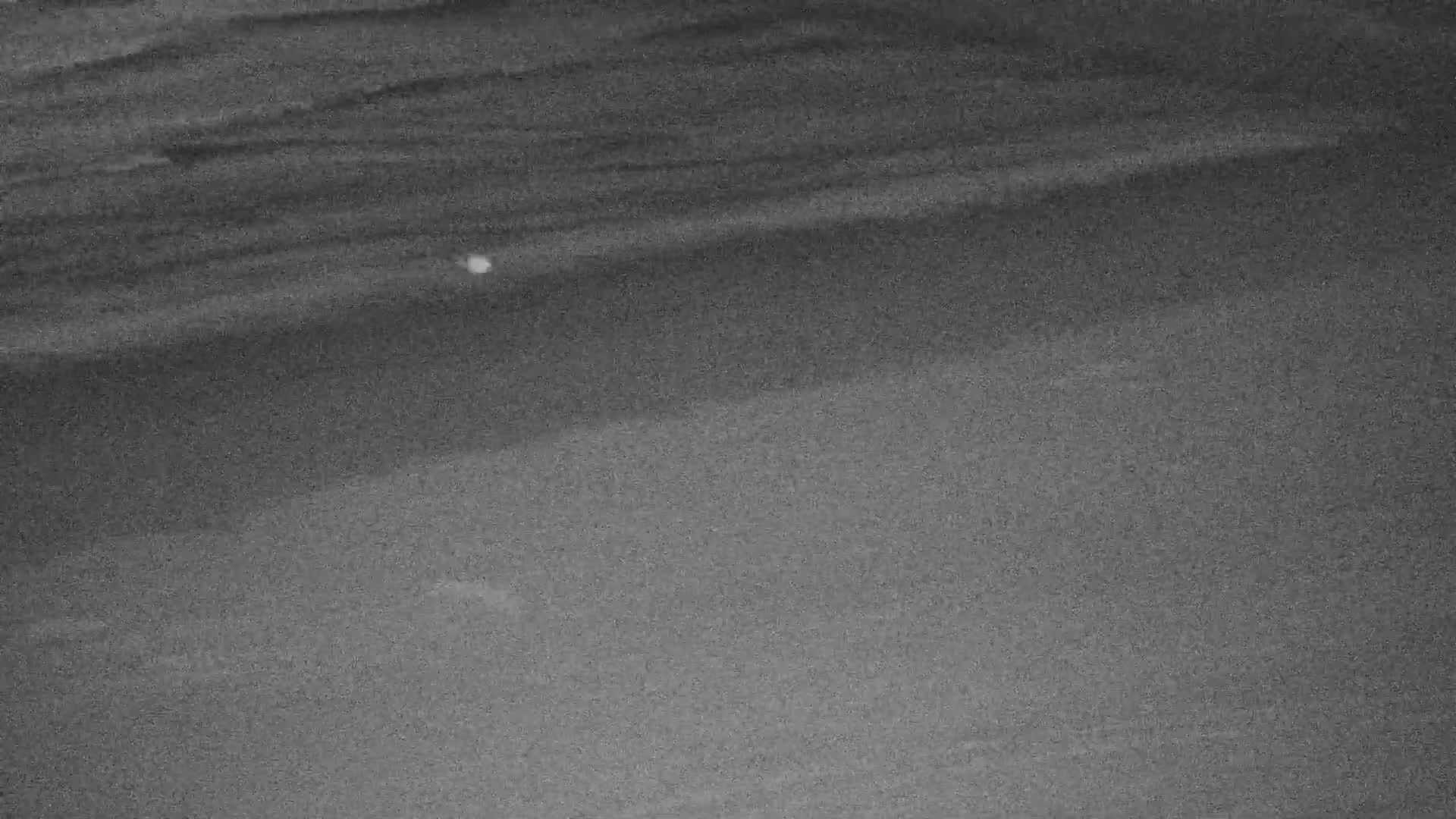 Wenduine, Strand van Wenduine Beach Live Cam - Ostend(Ostende), West Flanders (Flandre-Occidentale), Flemish (Flamande), Belgium