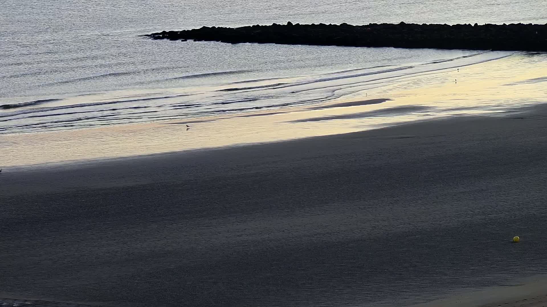 Wenduine, Strand van Wenduine Beach Live Cam - Ostend(Ostende), West Flanders (Flandre-Occidentale), Flemish (Flamande), Belgium