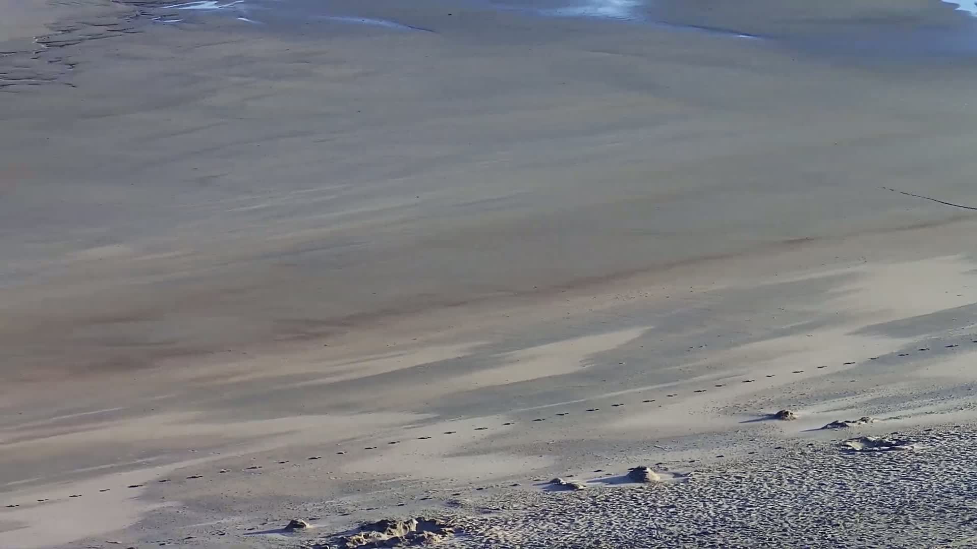 Wenduine, Strand van Wenduine Beach Live Cam - Ostend(Ostende), West Flanders (Flandre-Occidentale), Flemish (Flamande), Belgium