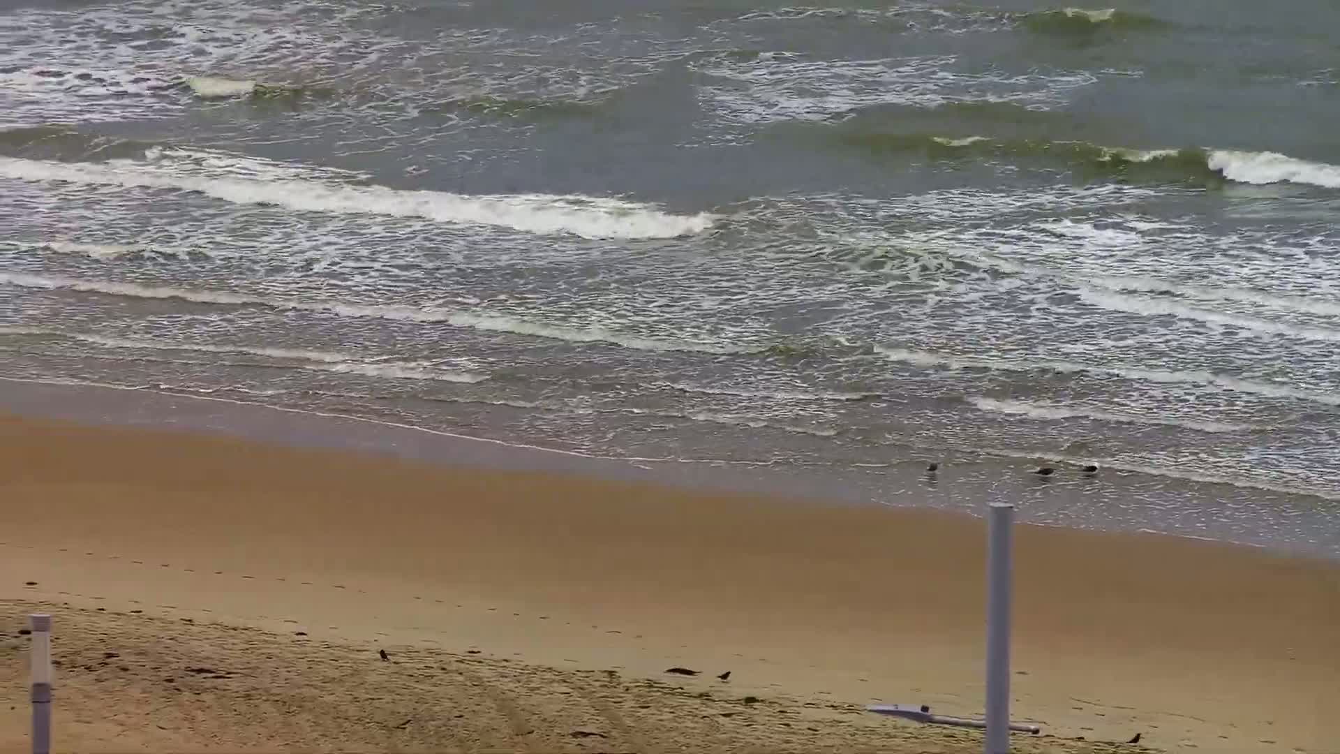 Wenduine, Strand van Wenduine Beach Live Cam - Ostend(Ostende), West Flanders (Flandre-Occidentale), Flemish (Flamande), Belgium