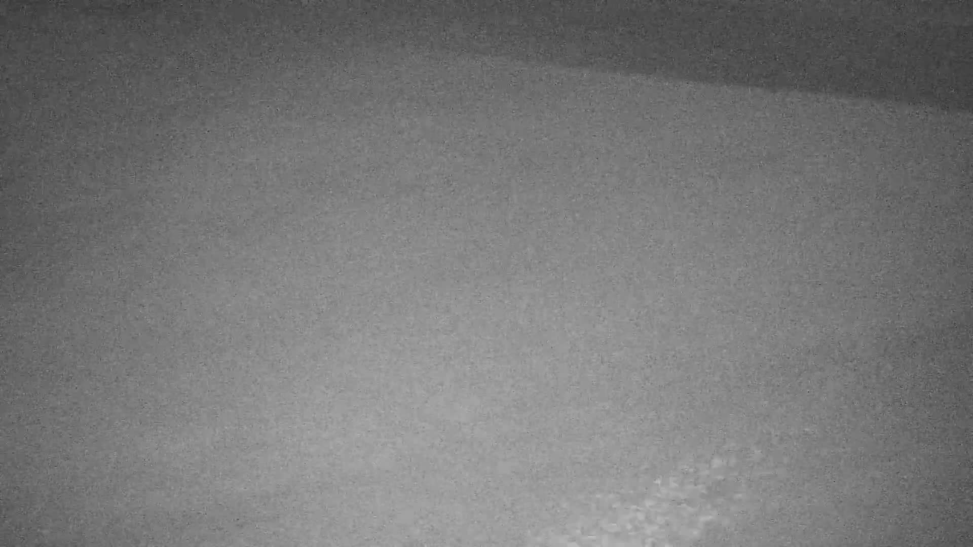 Wenduine, Strand van Wenduine Beach Live Cam - Ostend(Ostende), West Flanders (Flandre-Occidentale), Flemish (Flamande), Belgium