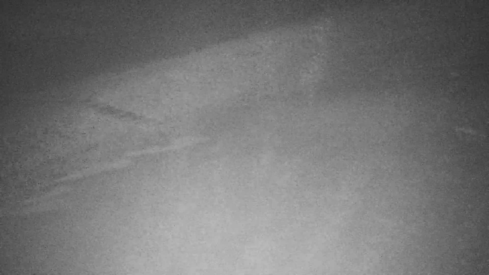 Wenduine, Strand van Wenduine Beach Live Cam - Ostend(Ostende), West Flanders (Flandre-Occidentale), Flemish (Flamande), Belgium