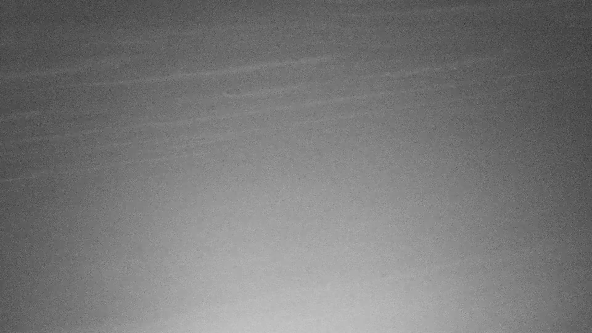 Wenduine, Strand van Wenduine Beach Live Cam - Ostend(Ostende), West Flanders (Flandre-Occidentale), Flemish (Flamande), Belgium