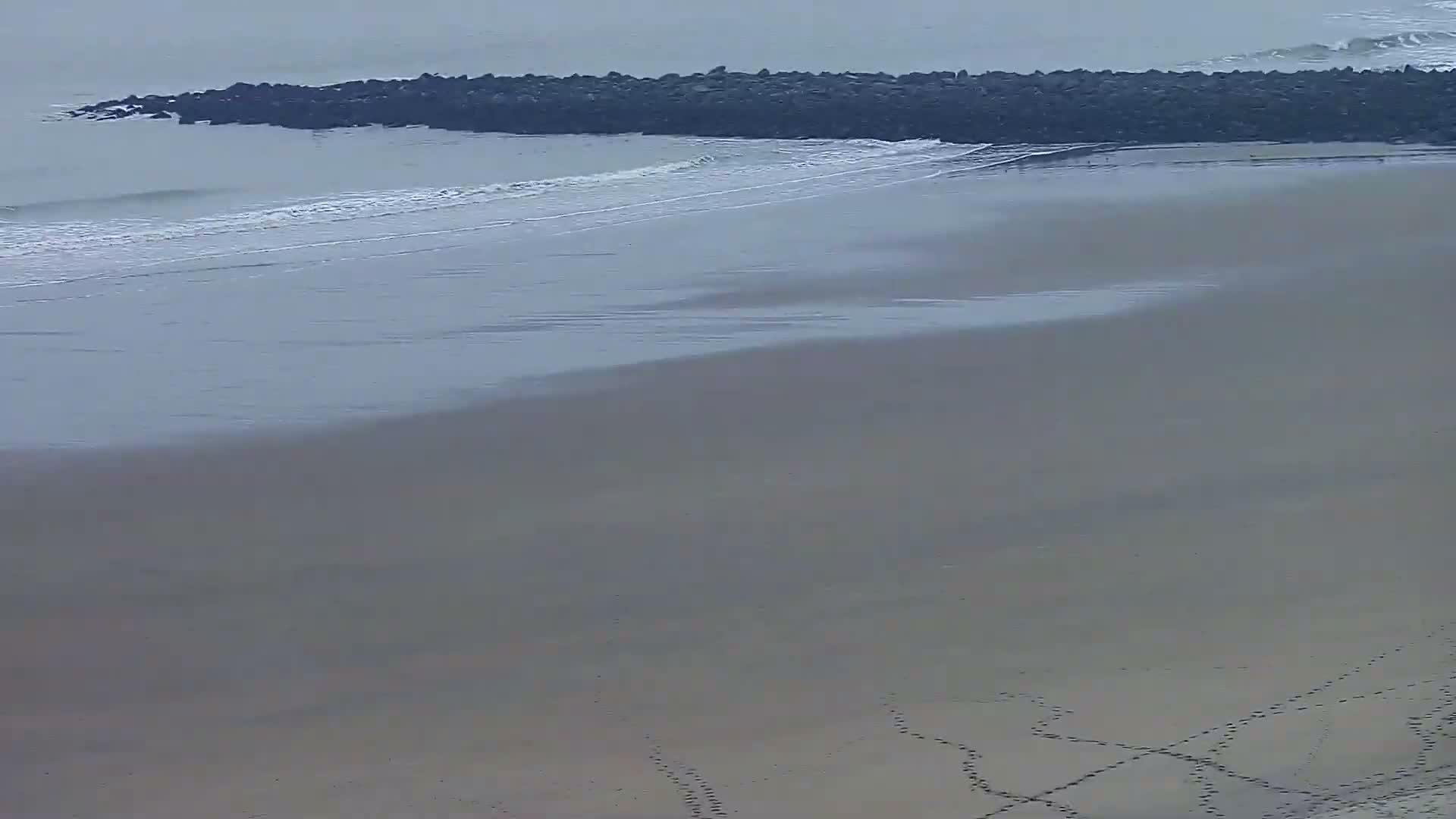 Wenduine, Strand van Wenduine Beach Live Cam - Ostend(Ostende), West Flanders (Flandre-Occidentale), Flemish (Flamande), Belgium