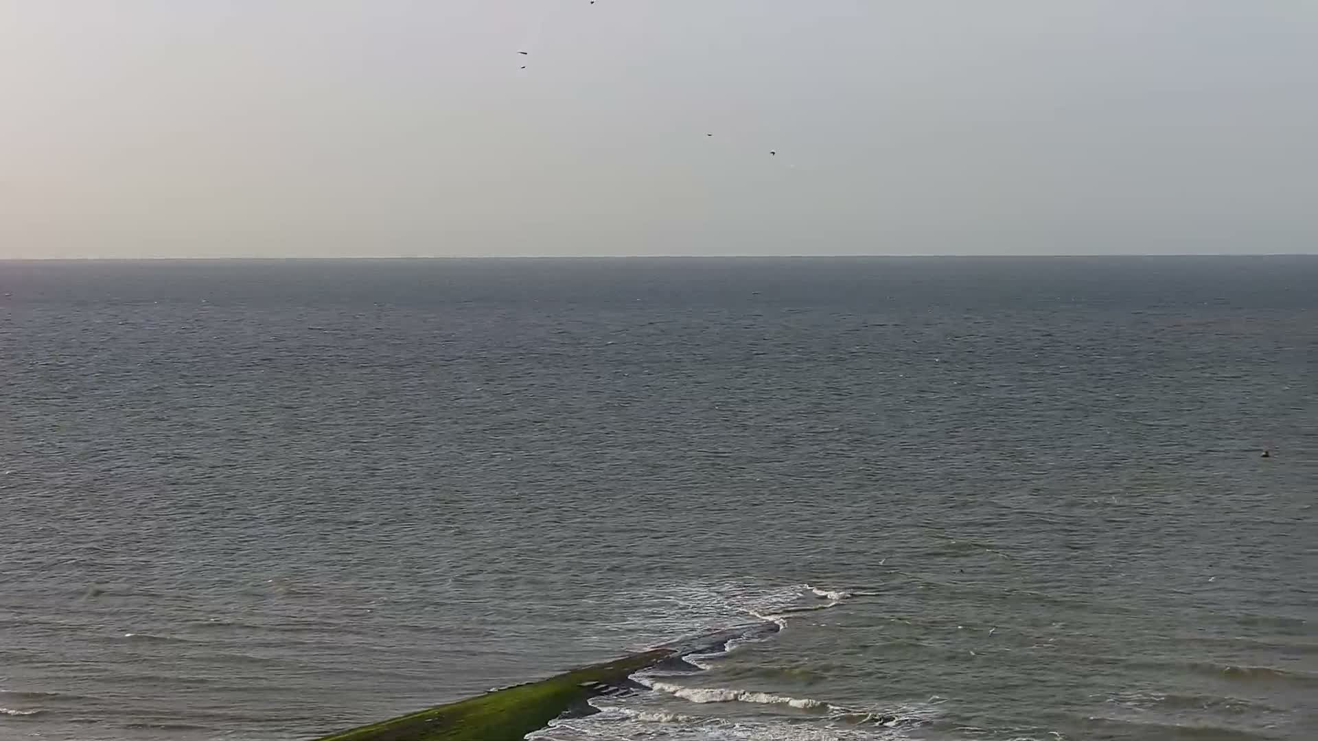 Wenduine, Strand van Wenduine Beach Live Cam - Ostend(Ostende), West Flanders (Flandre-Occidentale), Flemish (Flamande), Belgium