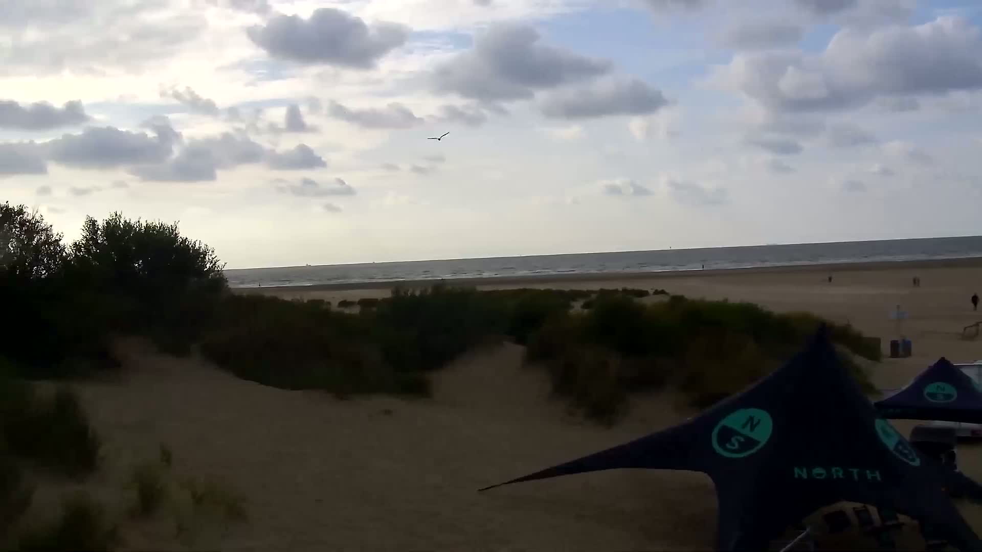 Zeebrugge, Strand Zeebrugge  Beach & Port Live Cam -  Bruges, West Flanders (Flandre-Occidentale), Flemish (Flamande), Belgium