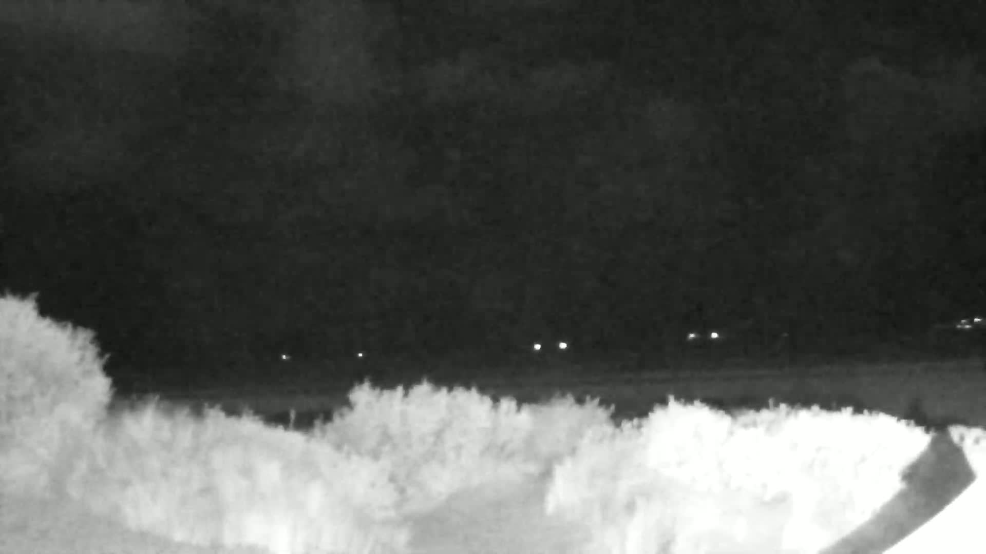 A dark, nighttime scene shows a body of water with small waves under a mostly clear sky, partially obscured by shrubbery in the foreground.