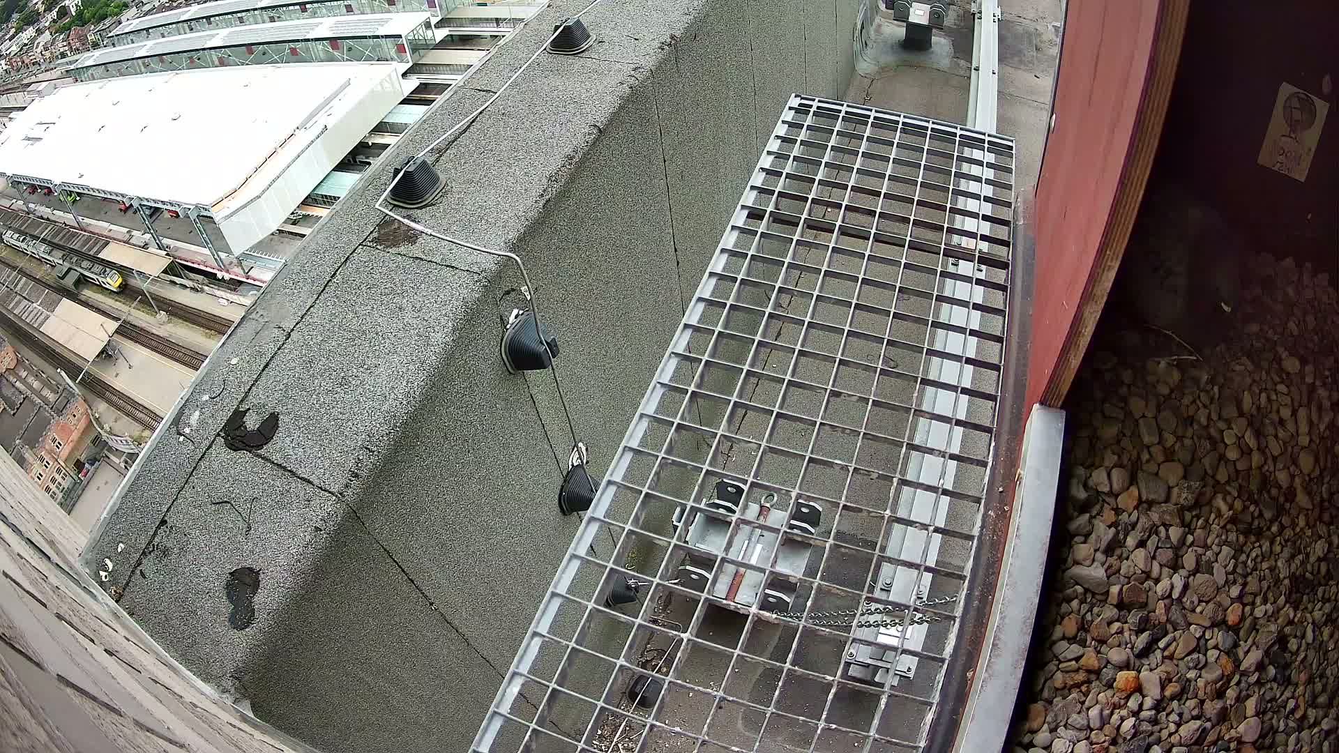Gent, Sint Pieters Railway Station & Virginie Lovelingge bouw (Virginie Loveling building) Outside Bird Nest Live Cam - Gent (Ghend-Gand), East Flanders (Flandre-Orientale), Flemish (Flamande), Belgium