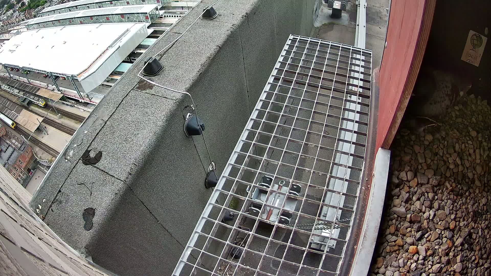 Gent, Sint Pieters Railway Station & Virginie Lovelingge bouw (Virginie Loveling building) Outside Bird Nest Live Cam - Gent (Ghend-Gand), East Flanders (Flandre-Orientale), Flemish (Flamande), Belgium