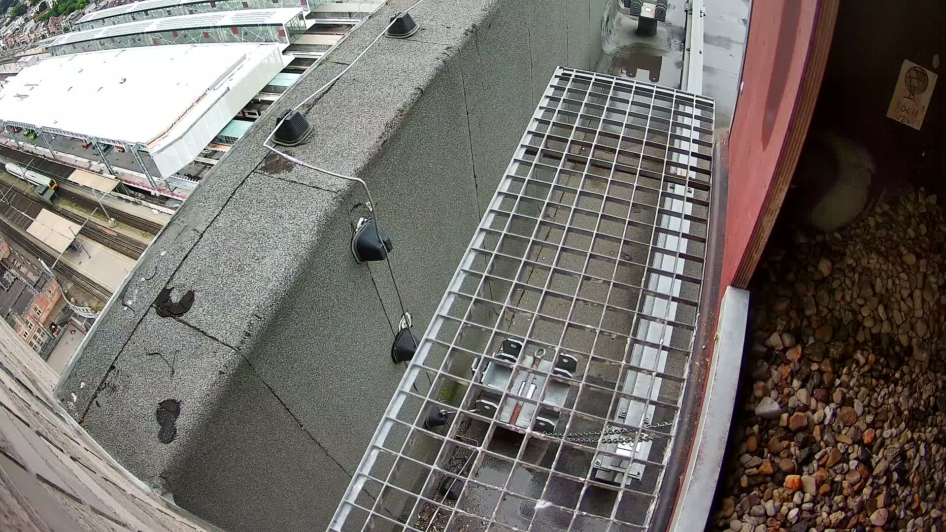Gent, Sint Pieters Railway Station & Virginie Lovelingge bouw (Virginie Loveling building) Outside Bird Nest Live Cam - Gent (Ghend-Gand), East Flanders (Flandre-Orientale), Flemish (Flamande), Belgium