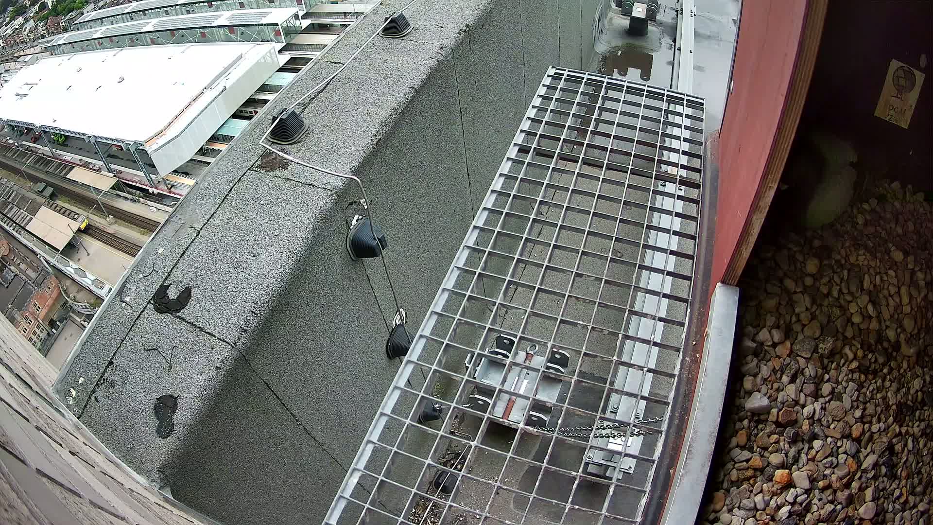 Gent, Sint Pieters Railway Station & Virginie Lovelingge bouw (Virginie Loveling building) Outside Bird Nest Live Cam - Gent (Ghend-Gand), East Flanders (Flandre-Orientale), Flemish (Flamande), Belgium