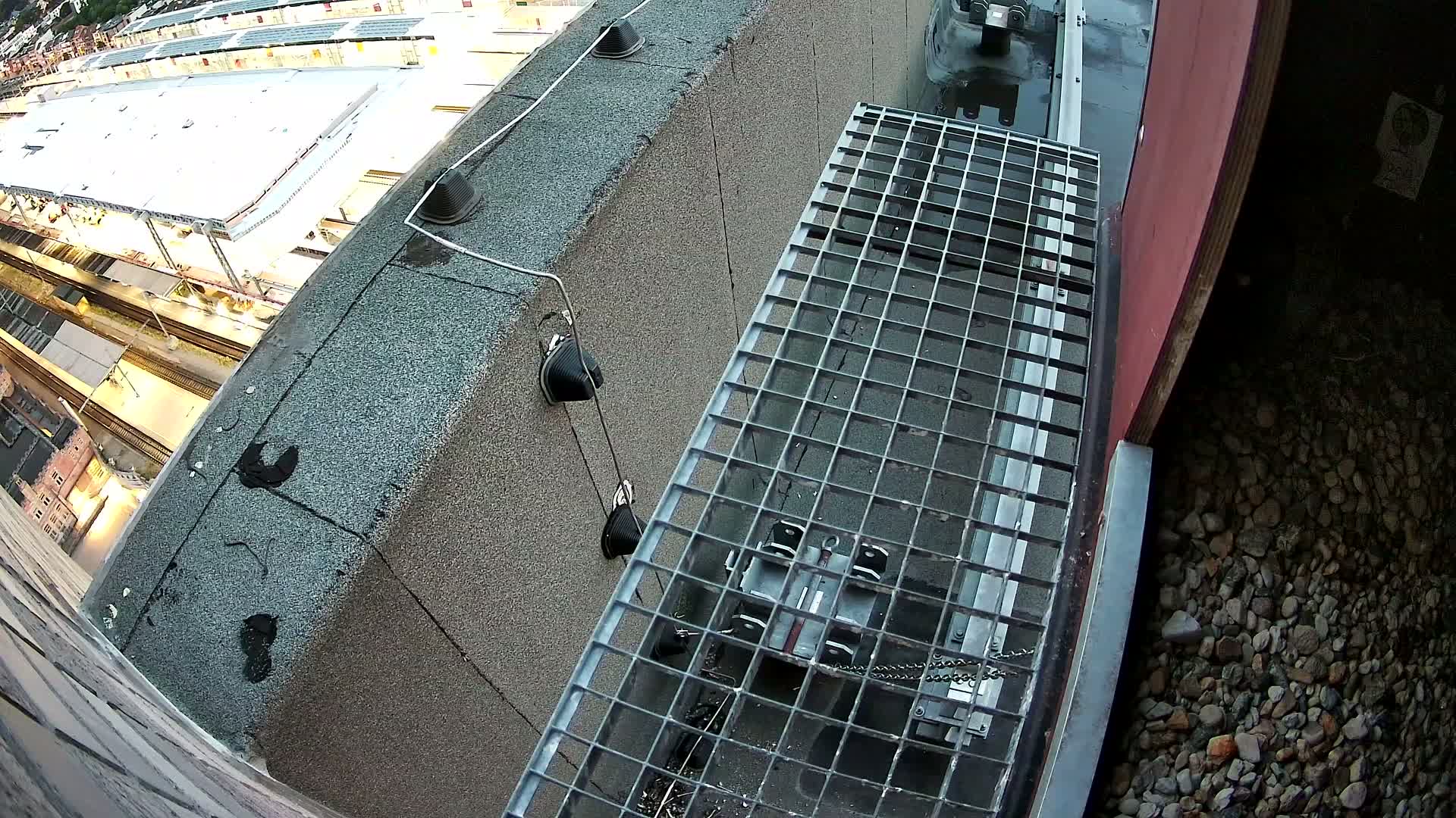 Gent, Sint Pieters Railway Station & Virginie Lovelingge bouw (Virginie Loveling building) Outside Bird Nest Live Cam - Gent (Ghend-Gand), East Flanders (Flandre-Orientale), Flemish (Flamande), Belgium