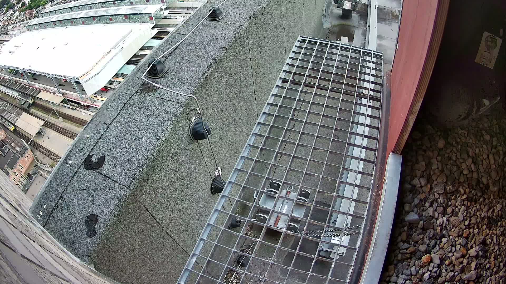 Gent, Sint Pieters Railway Station & Virginie Lovelingge bouw (Virginie Loveling building) Outside Bird Nest Live Cam - Gent (Ghend-Gand), East Flanders (Flandre-Orientale), Flemish (Flamande), Belgium