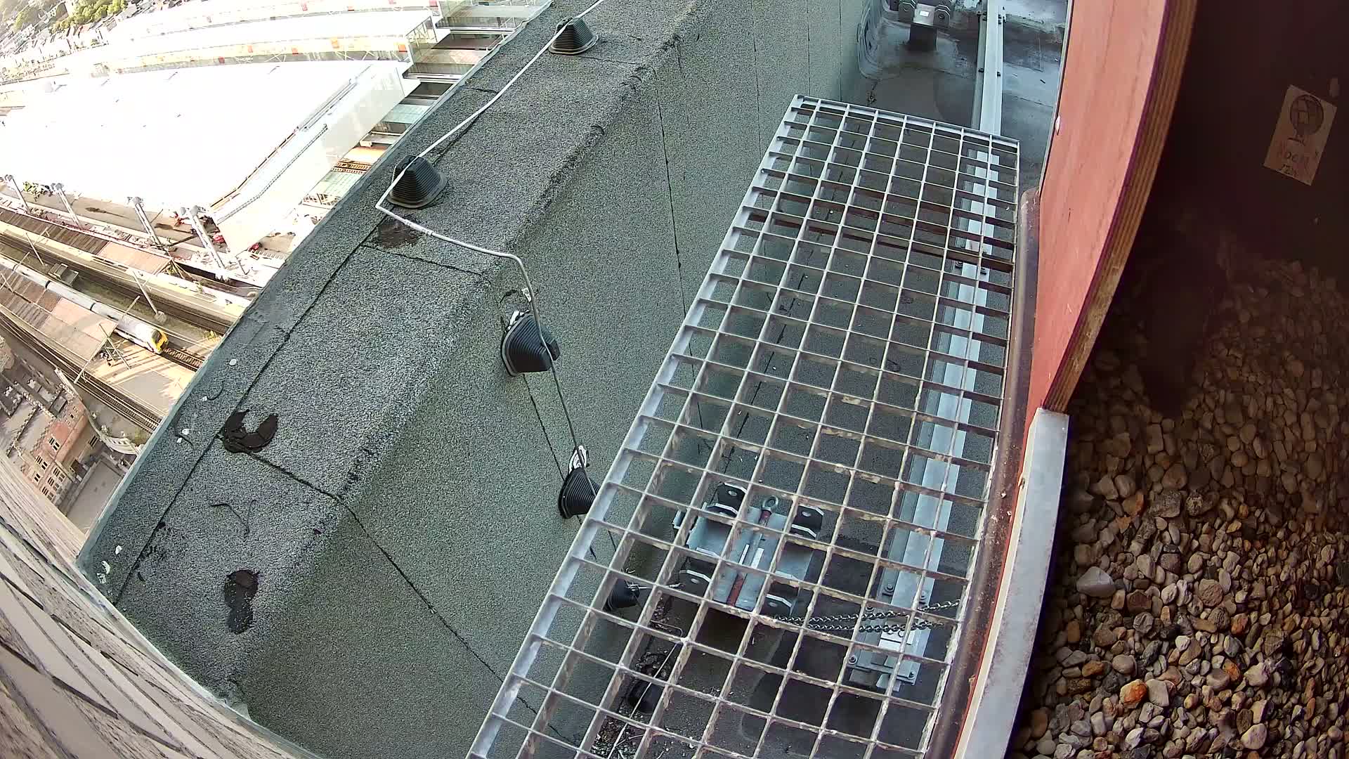 Gent, Sint Pieters Railway Station & Virginie Lovelingge bouw (Virginie Loveling building) Outside Bird Nest Live Cam - Gent (Ghend-Gand), East Flanders (Flandre-Orientale), Flemish (Flamande), Belgium