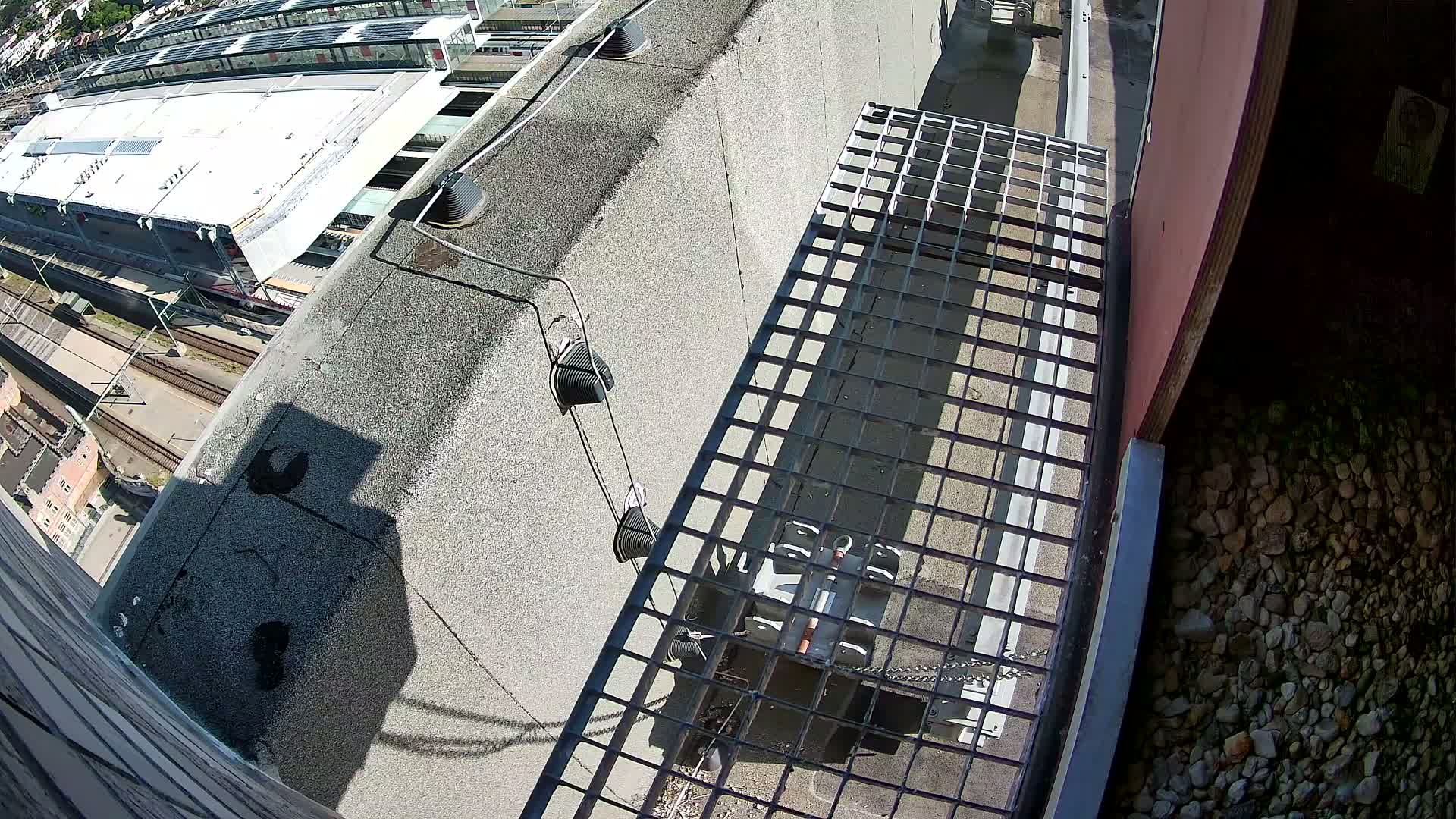 Gent, Sint Pieters Railway Station & Virginie Lovelingge bouw (Virginie Loveling building) Outside Bird Nest Live Cam - Gent (Ghend-Gand), East Flanders (Flandre-Orientale), Flemish (Flamande), Belgium