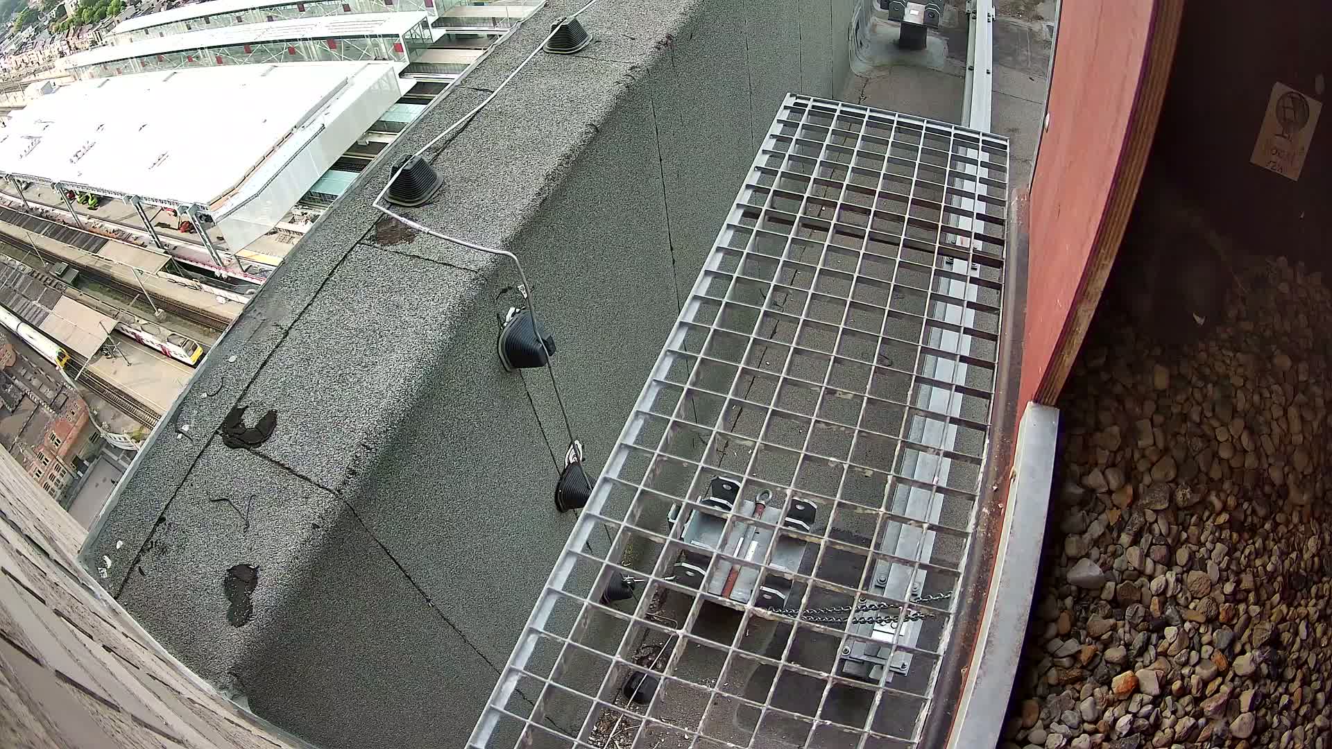 Gent, Sint Pieters Railway Station & Virginie Lovelingge bouw (Virginie Loveling building) Outside Bird Nest Live Cam - Gent (Ghend-Gand), East Flanders (Flandre-Orientale), Flemish (Flamande), Belgium