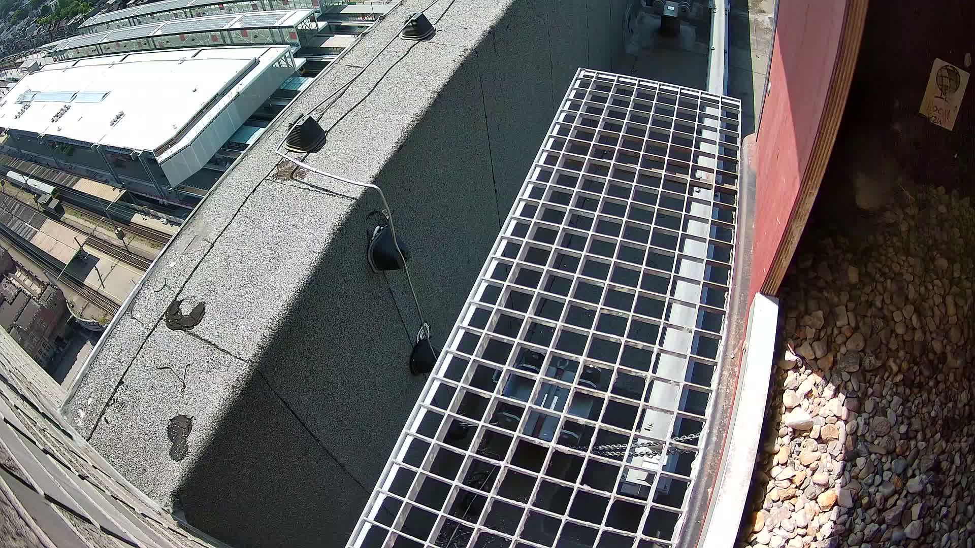 Gent, Sint Pieters Railway Station & Virginie Lovelingge bouw (Virginie Loveling building) Outside Bird Nest Live Cam - Gent (Ghend-Gand), East Flanders (Flandre-Orientale), Flemish (Flamande), Belgium