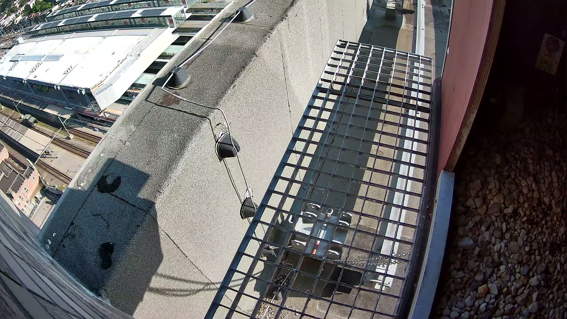 Gent, Sint Pieters Railway Station & Virginie Lovelingge bouw (Virginie Loveling building) Outside Bird Nest Live Cam - Gent (Ghend-Gand), East Flanders (Flandre-Orientale), Flemish (Flamande), Belgium