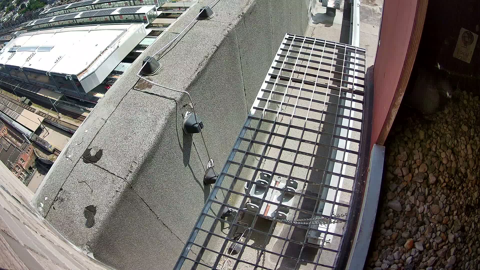 Gent, Sint Pieters Railway Station & Virginie Lovelingge bouw (Virginie Loveling building) Outside Bird Nest Live Cam - Gent (Ghend-Gand), East Flanders (Flandre-Orientale), Flemish (Flamande), Belgium