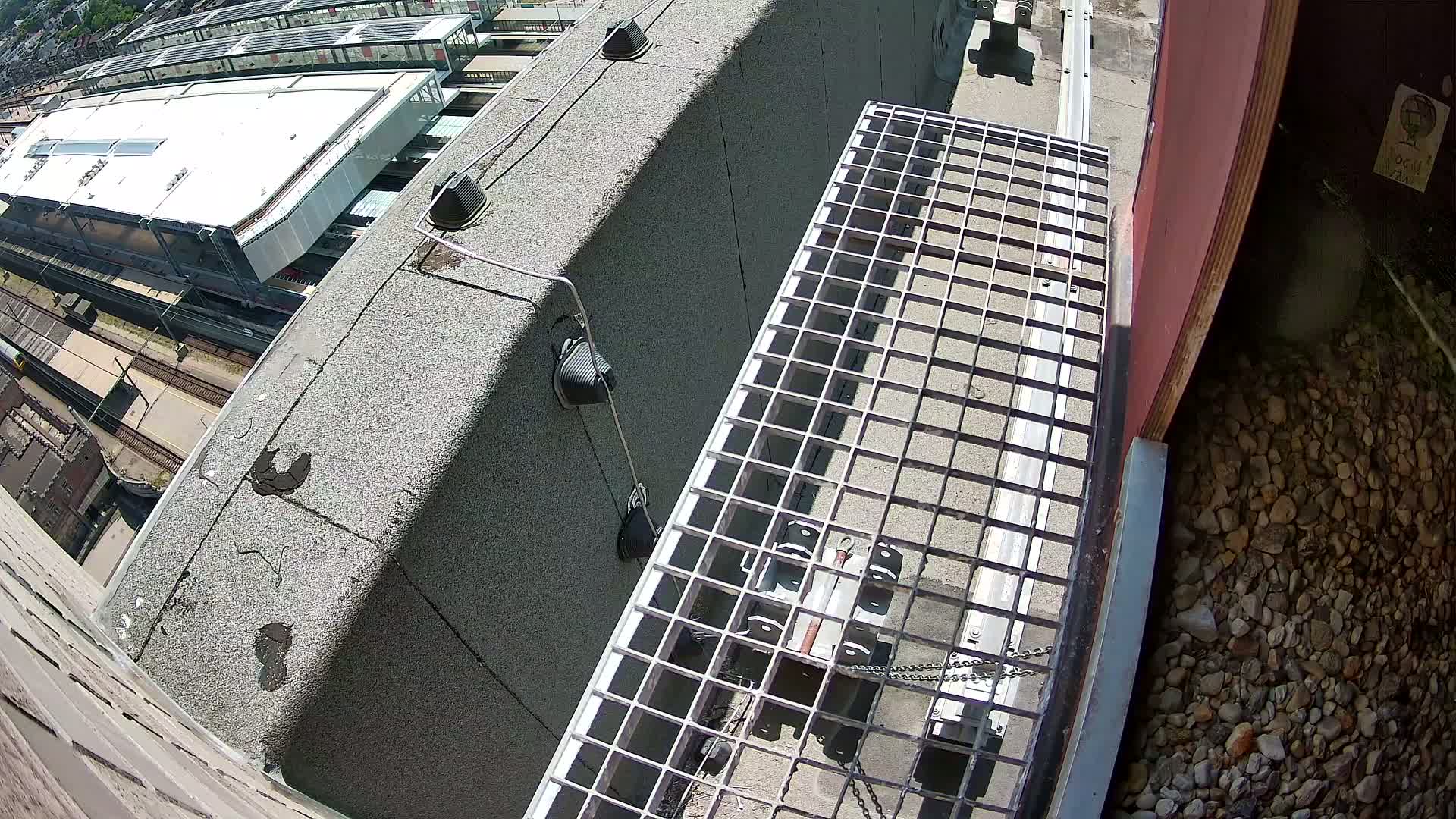 Gent, Sint Pieters Railway Station & Virginie Lovelingge bouw (Virginie Loveling building) Outside Bird Nest Live Cam - Gent (Ghend-Gand), East Flanders (Flandre-Orientale), Flemish (Flamande), Belgium