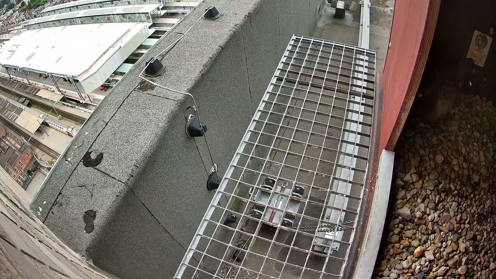 Gent, Sint Pieters Railway Station & Virginie Lovelingge bouw (Virginie Loveling building) Outside Bird Nest Live Cam - Gent (Ghend-Gand), East Flanders (Flandre-Orientale), Flemish (Flamande), Belgium