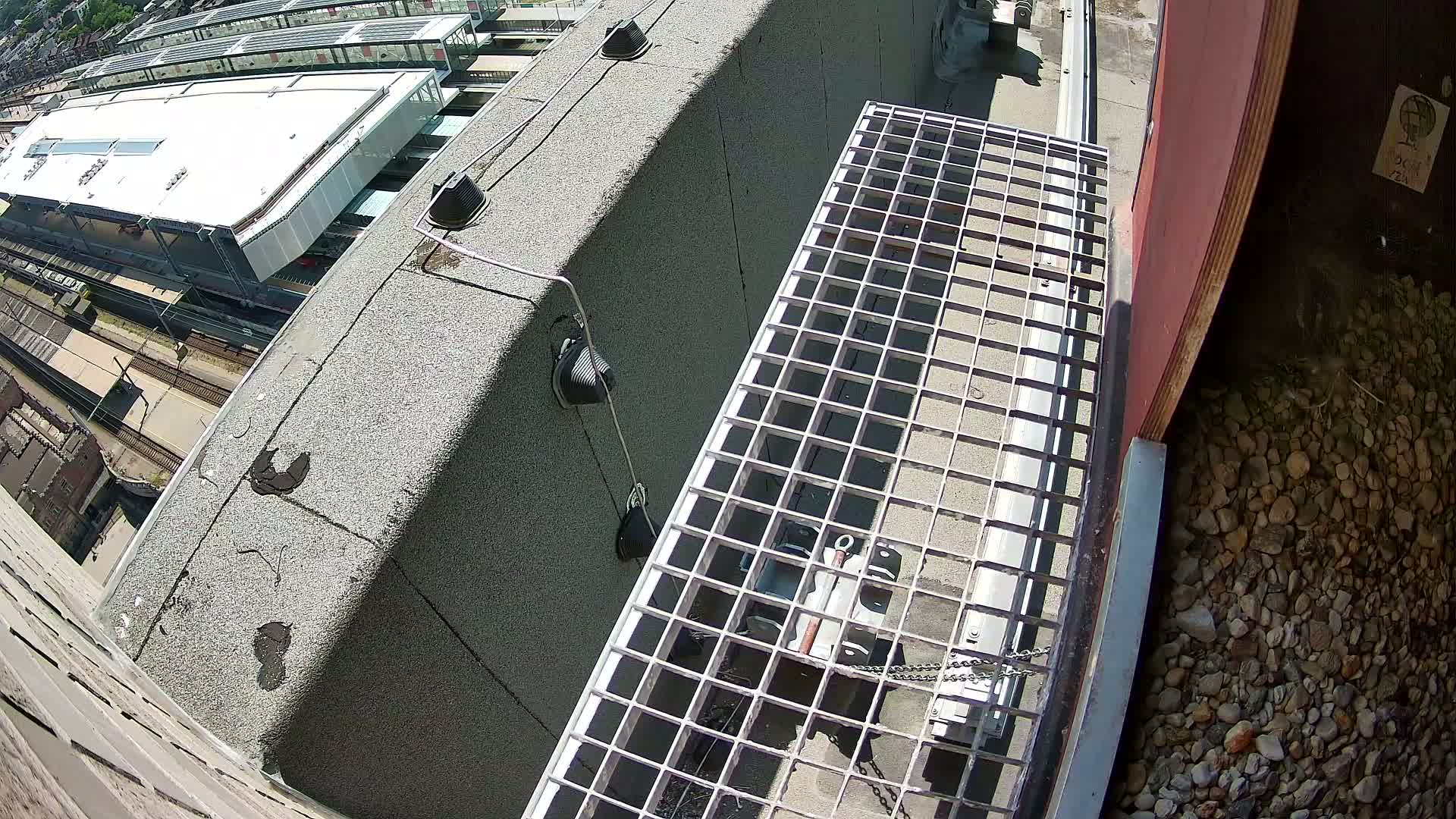 Gent, Sint Pieters Railway Station & Virginie Lovelingge bouw (Virginie Loveling building) Outside Bird Nest Live Cam - Gent (Ghend-Gand), East Flanders (Flandre-Orientale), Flemish (Flamande), Belgium