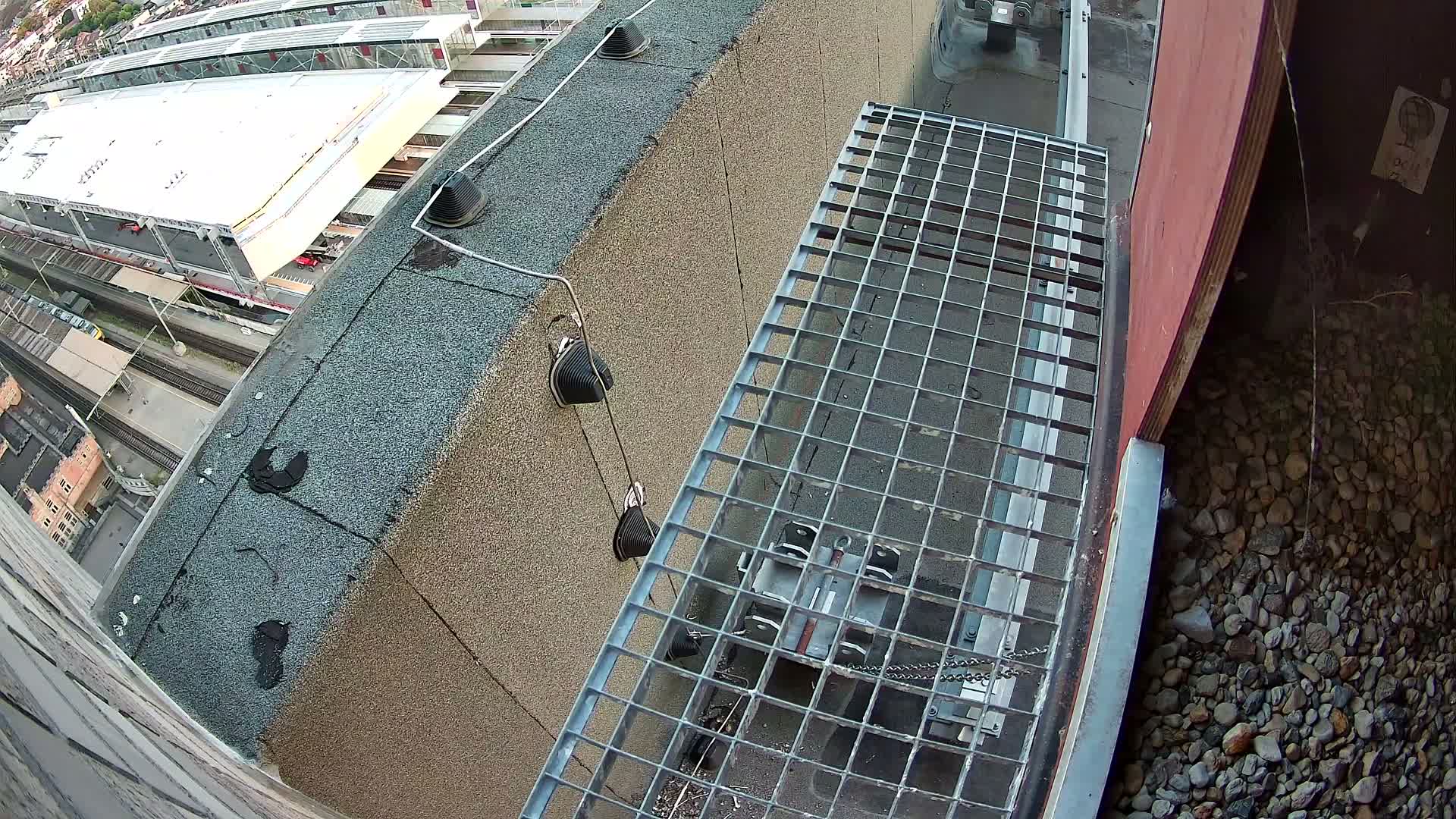 Gent, Sint Pieters Railway Station & Virginie Lovelingge bouw (Virginie Loveling building) Outside Bird Nest Live Cam - Gent (Ghend-Gand), East Flanders (Flandre-Orientale), Flemish (Flamande), Belgium