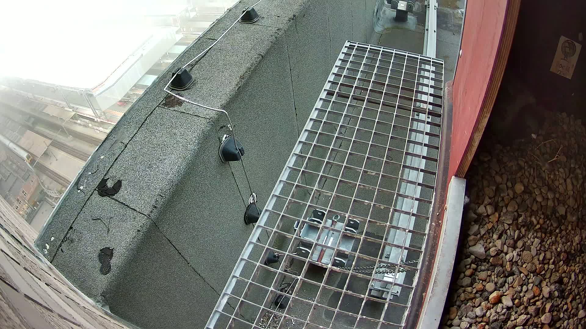 Gent, Sint Pieters Railway Station & Virginie Lovelingge bouw (Virginie Loveling building) Outside Bird Nest Live Cam - Gent (Ghend-Gand), East Flanders (Flandre-Orientale), Flemish (Flamande), Belgium