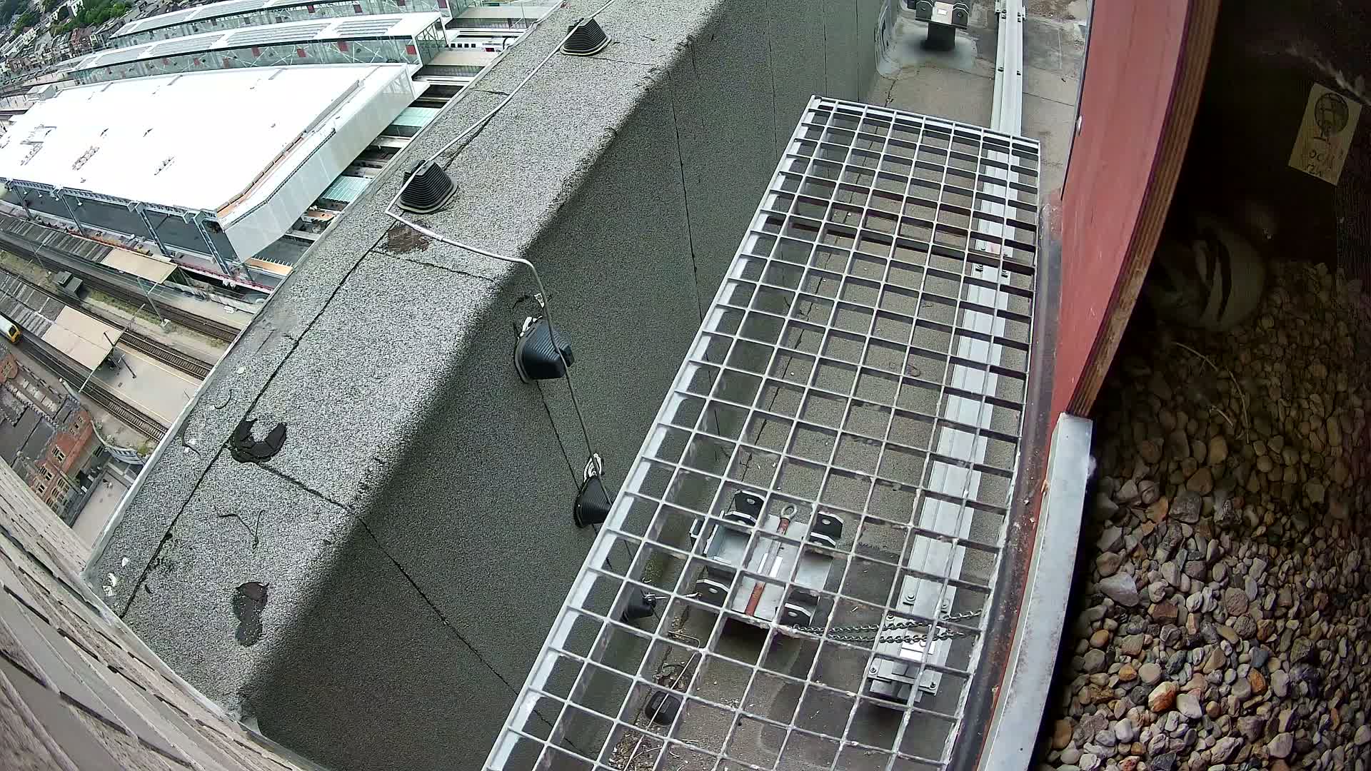 Gent, Sint Pieters Railway Station & Virginie Lovelingge bouw (Virginie Loveling building) Outside Bird Nest Live Cam - Gent (Ghend-Gand), East Flanders (Flandre-Orientale), Flemish (Flamande), Belgium